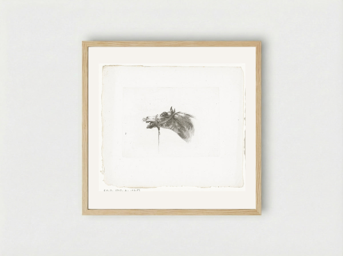 Paardenhoofd met open bek, naar links - Joannes Bemme - Framed Print Wood