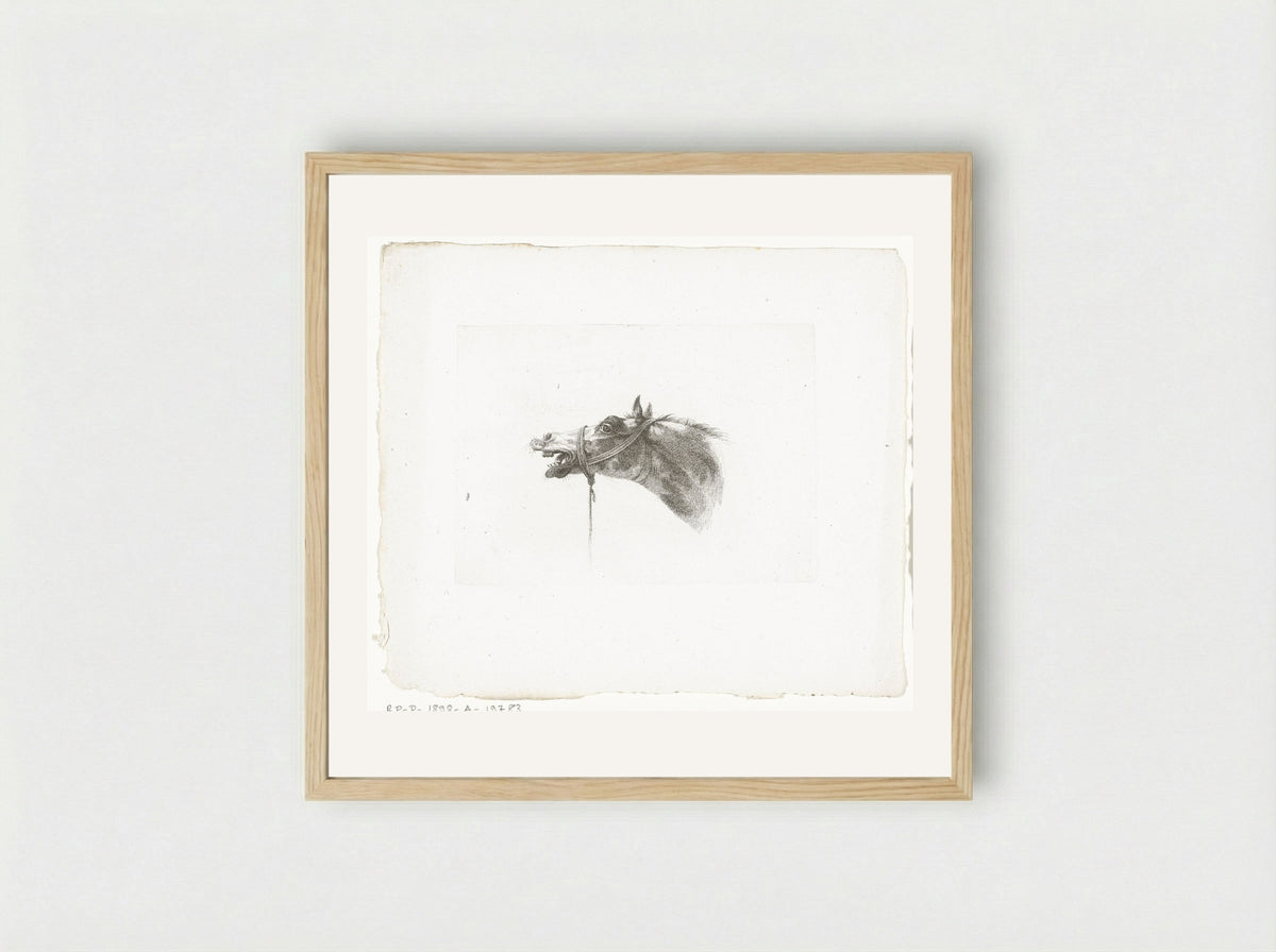 Paardenhoofd met open bek, naar links - Joannes Bemme - Framed Print Wood