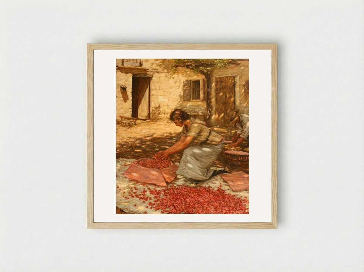 Packing Cherries in Provence, France - Henry Herbert La Thangue - Framed Print Wood