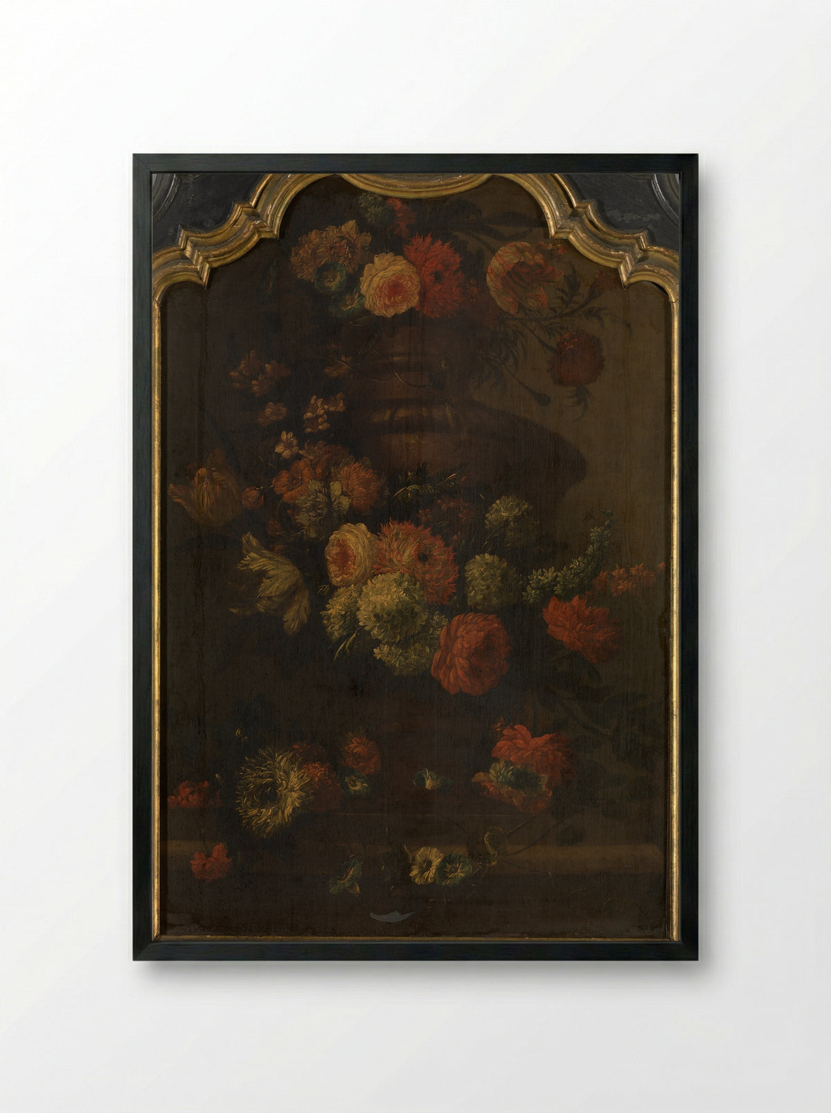 Papegaai (Floral Still Life) - Peter Casteels III - Framed Print Black