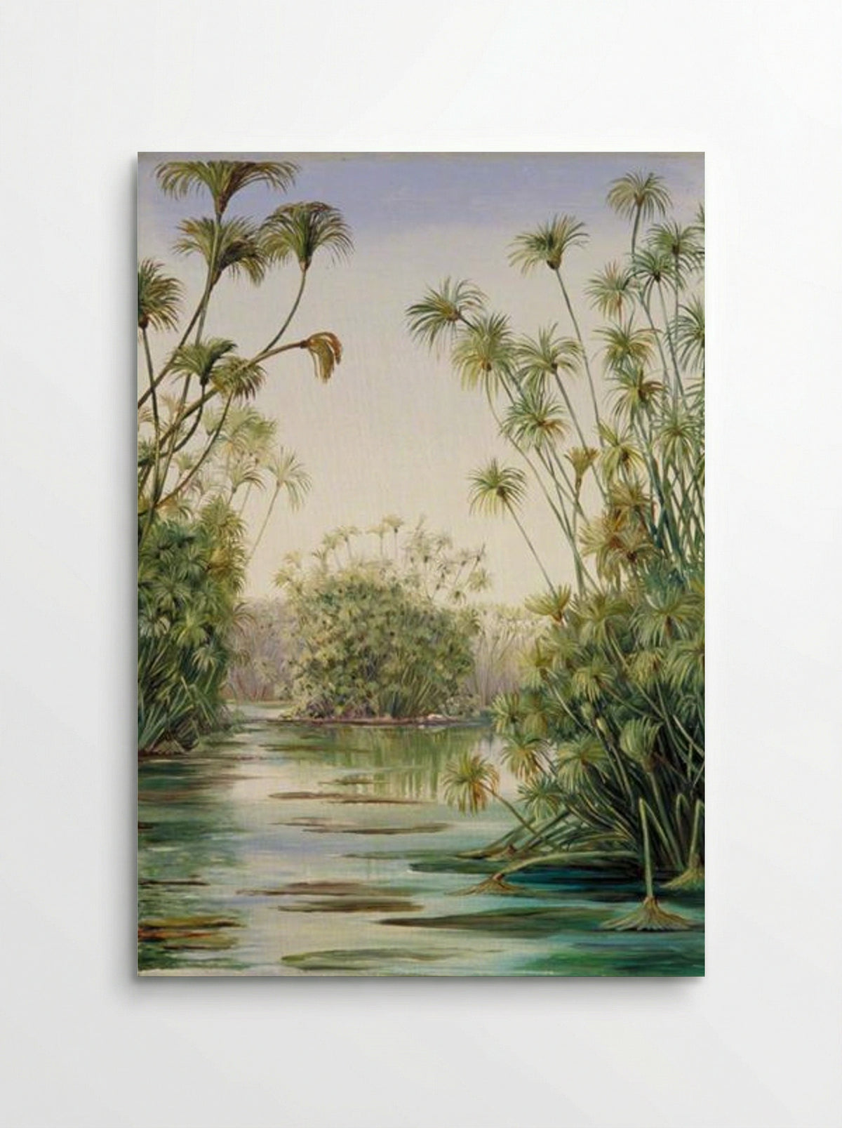Papyrus or Paper Reed Growing in the Ciane, Sicily - Marianne North - Poster