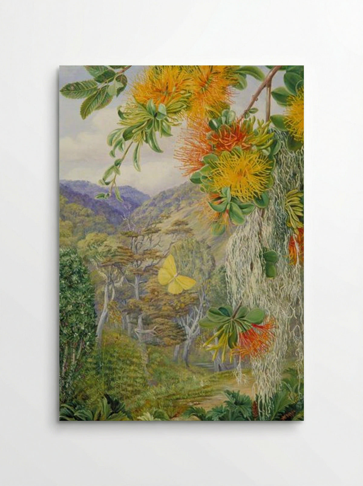 Parasites on Beech Trees, Chili - Marianne North - Poster