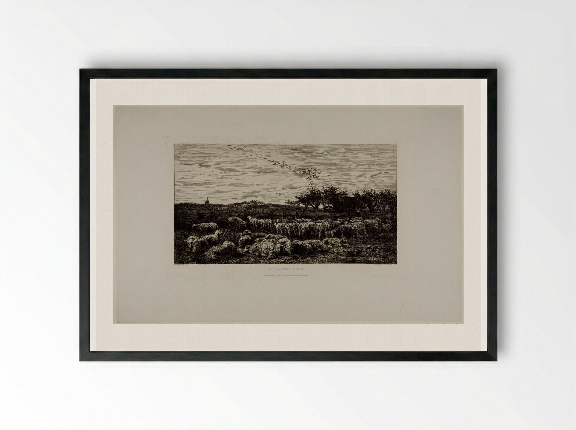 Parc à moutons, le matin - Charles-François Daubigny - Framed Print Black