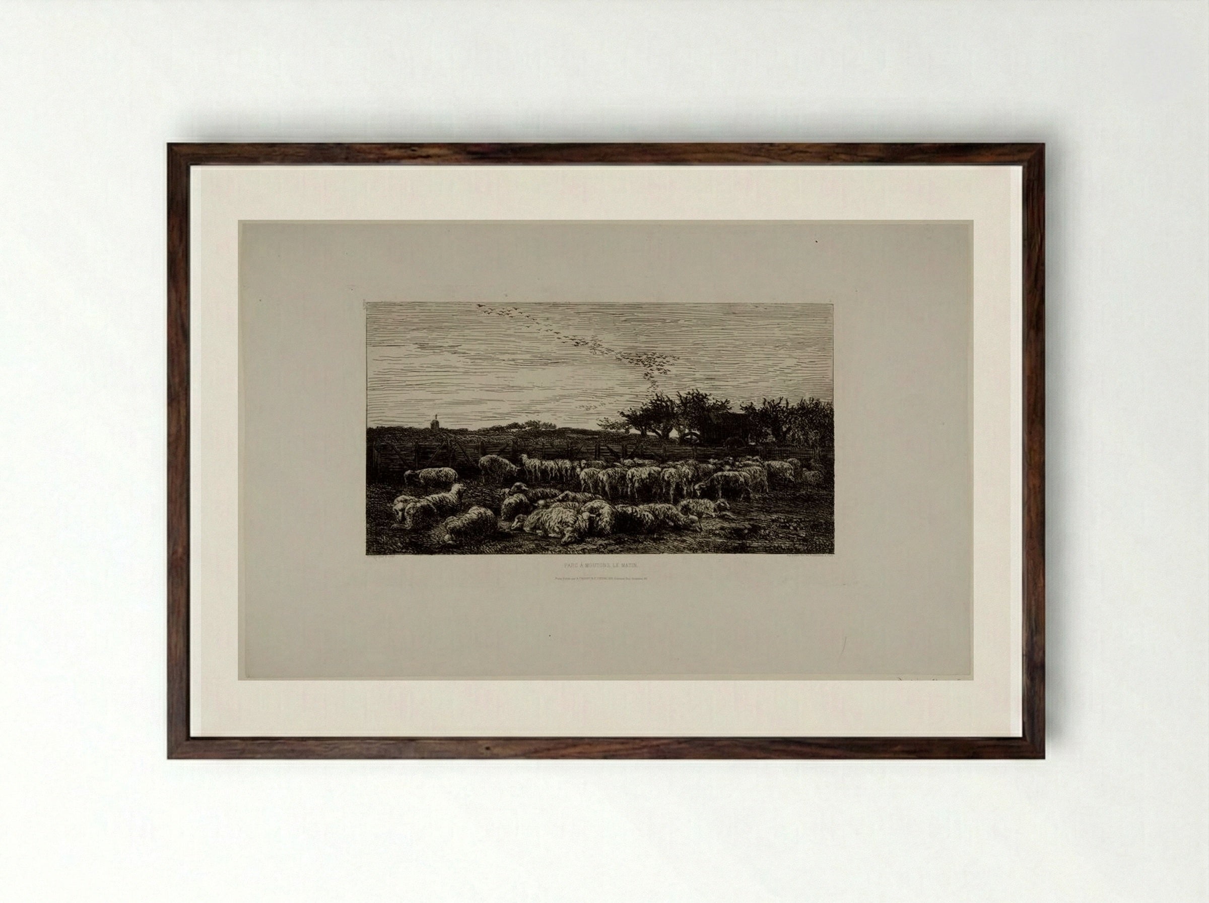 Parc à moutons, le matin - Charles-François Daubigny - Framed Print Dark Wood