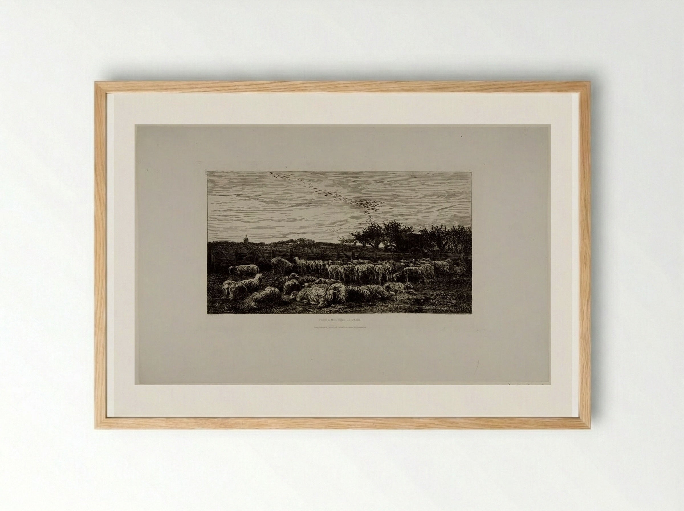 Parc à moutons, le matin - Charles-François Daubigny - Framed Print Wood