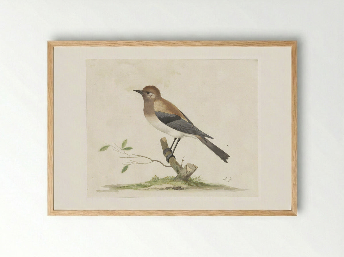Parelhoen - Pieter Holsteyn (I) - Framed Print Wood