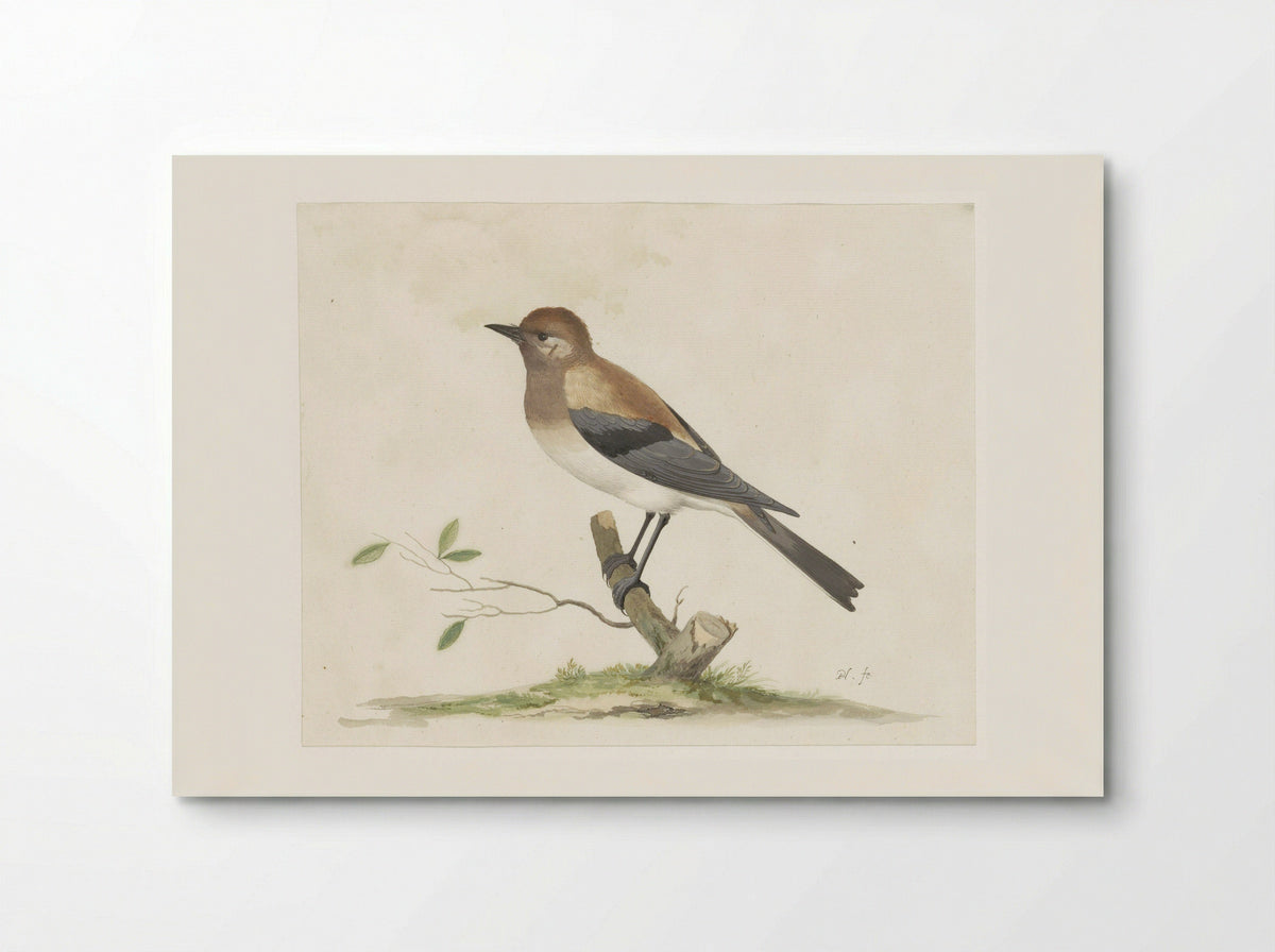 Parelhoen - Pieter Holsteyn (I) - Poster