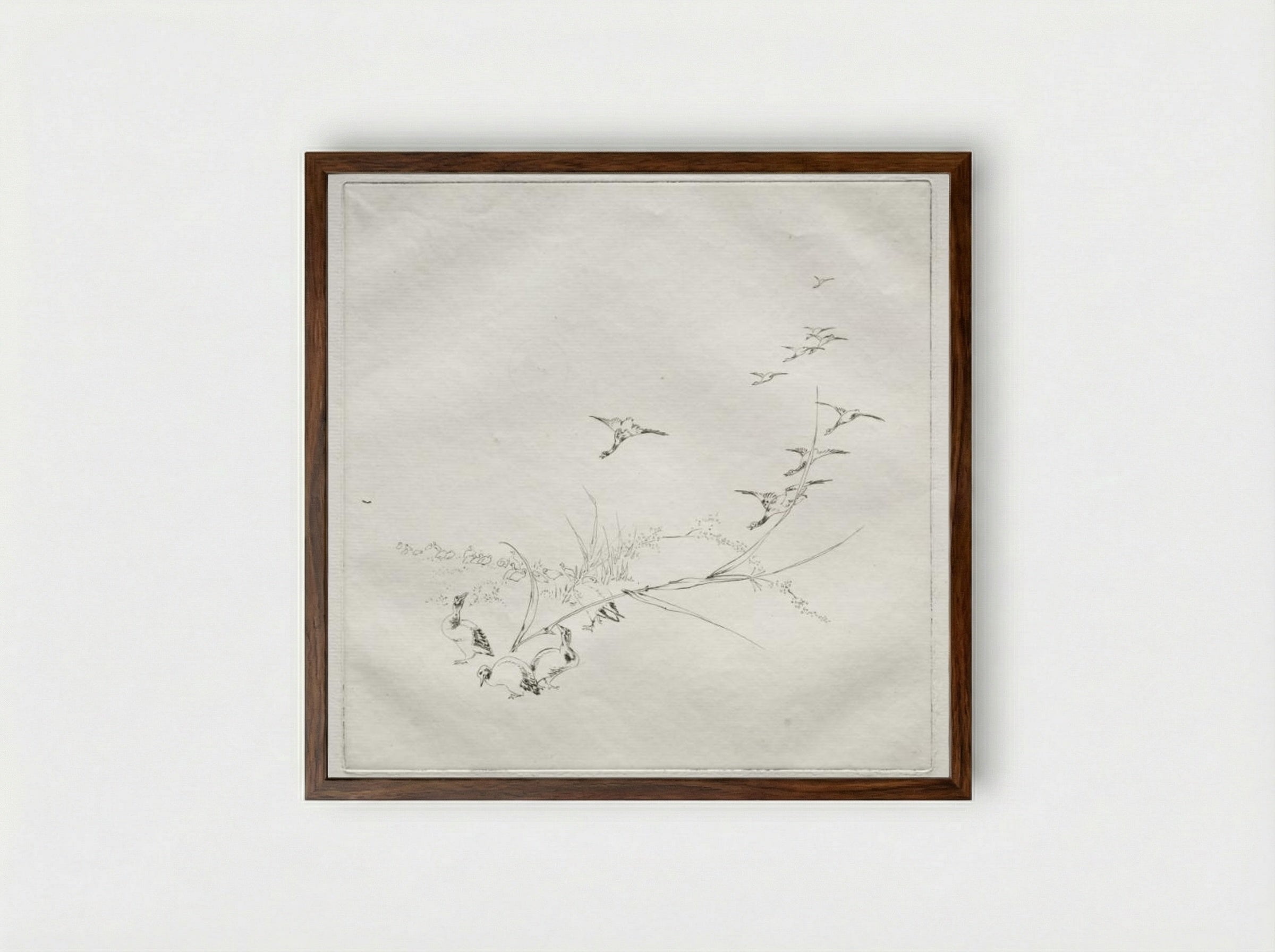 Parisian Service (Haviland service): Right in the sun (no. 9) - Félix Bracquemond - Framed Print Dark Wood