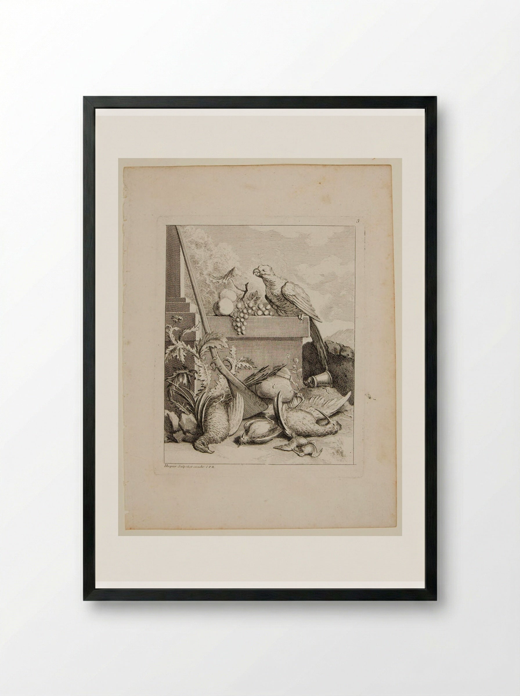 Parrot and a Bunch of Grapes, with Game Birds - Gabriel Huquier - Framed Print Black