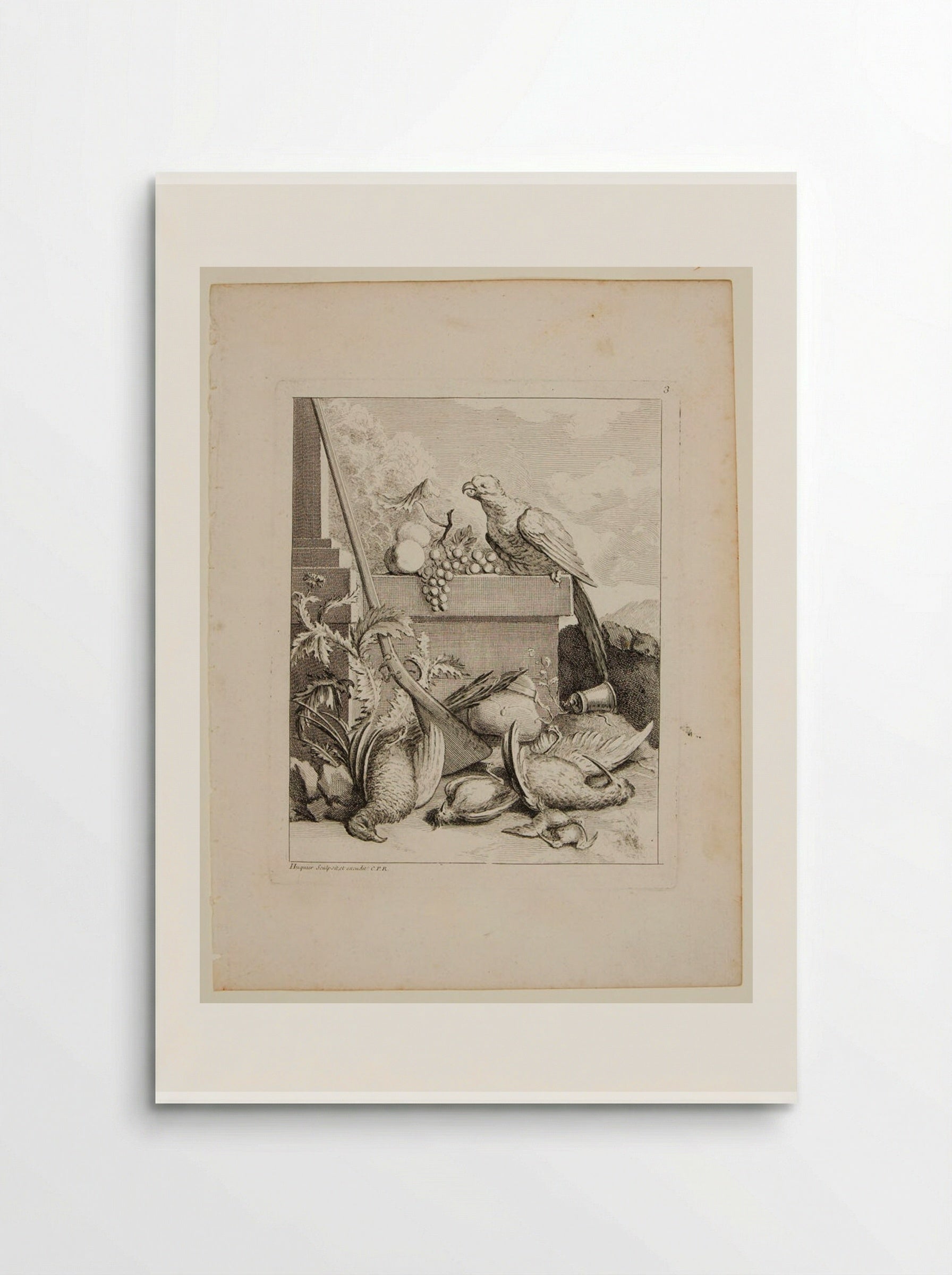 Parrot and a Bunch of Grapes, with Game Birds - Gabriel Huquier - Poster