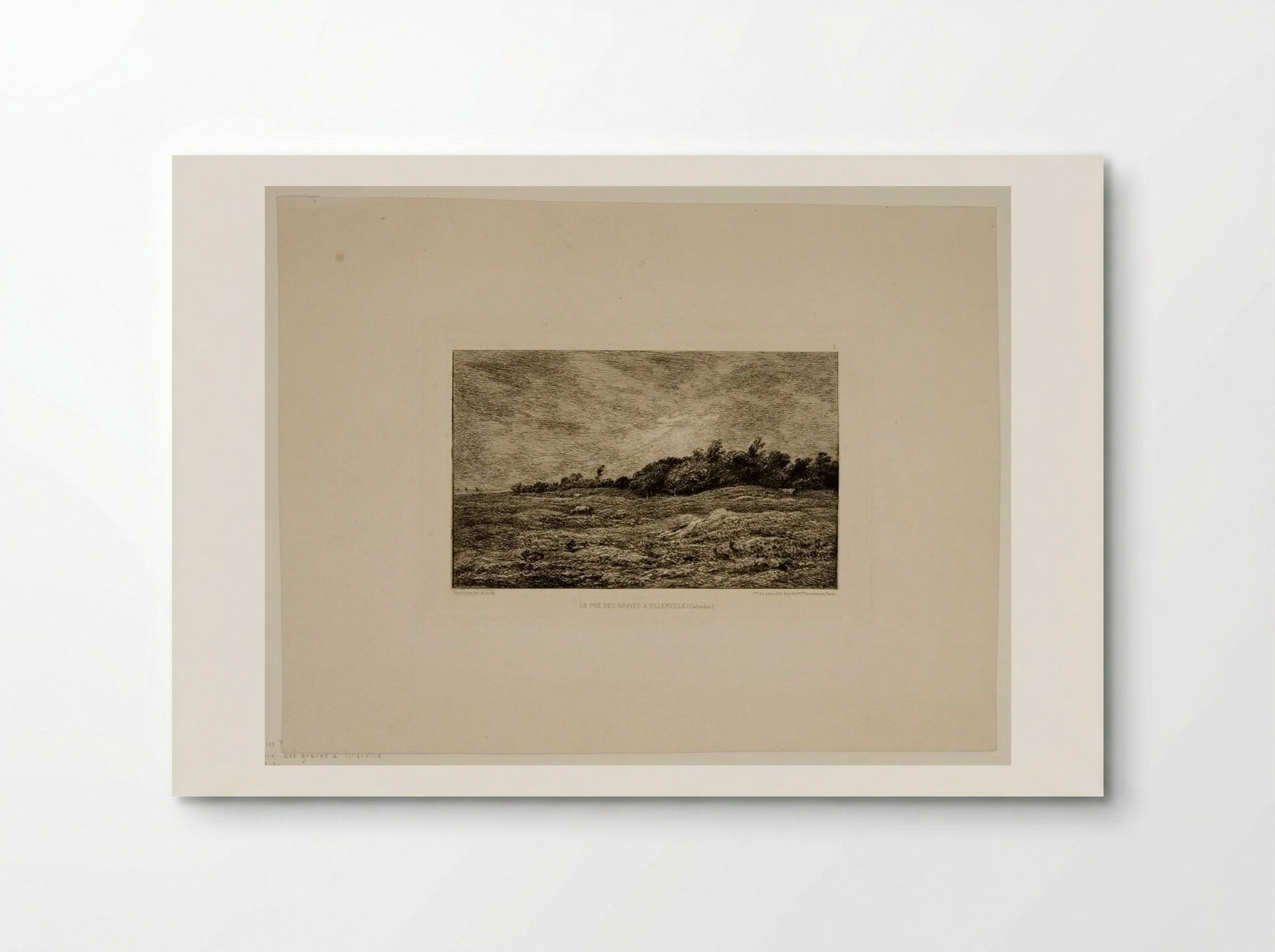 Pasture at Villerville (Calvados) - Charles-François Daubigny - Poster