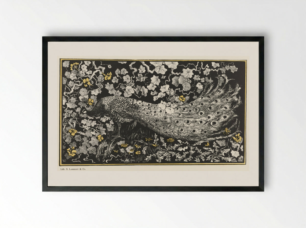 Pauw (Peacock) - Samuel Lankhout & Co. - Framed Print Black