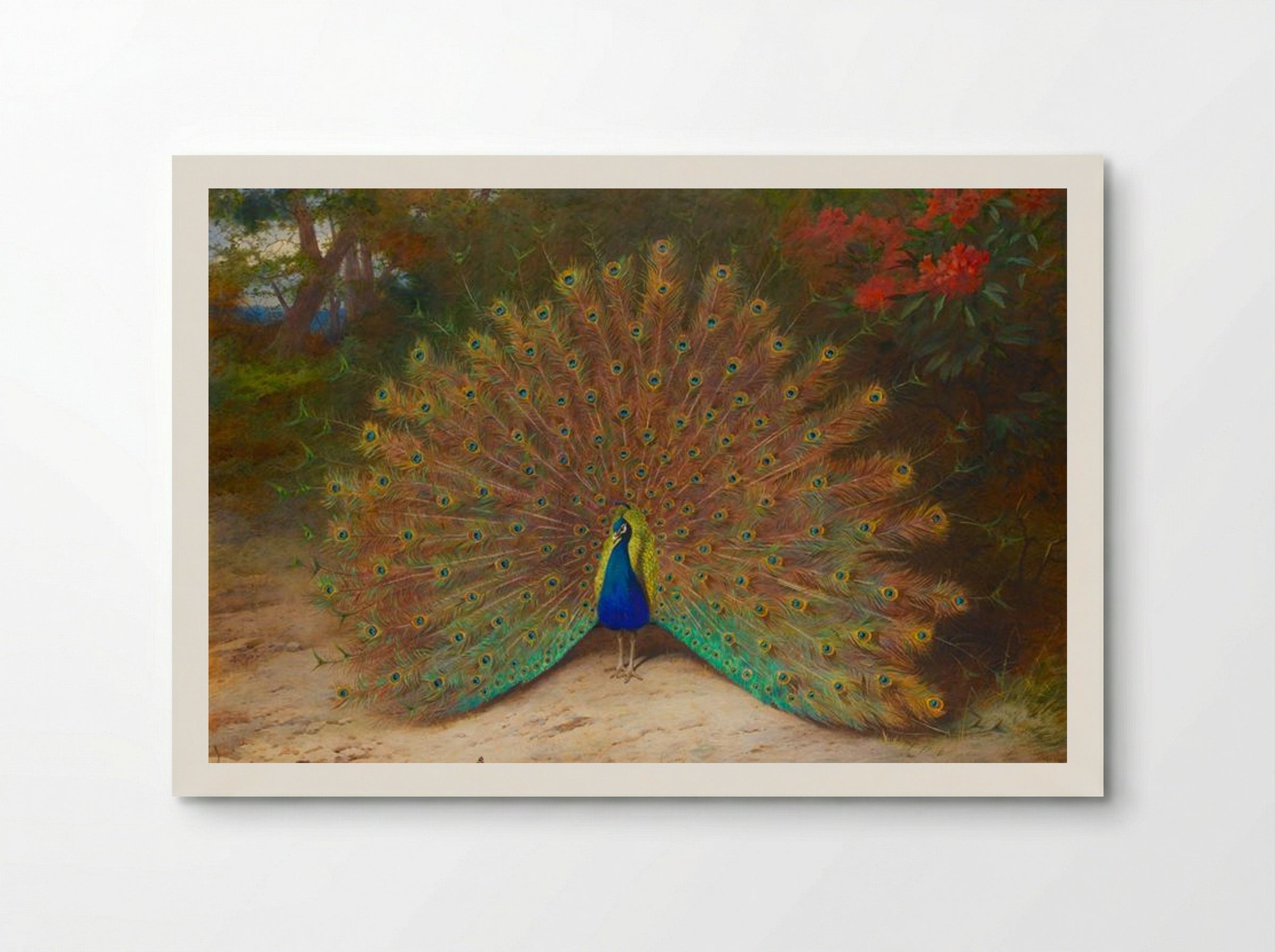 Peacock and Peacock Butterfly - Archibald Thorburn - Poster