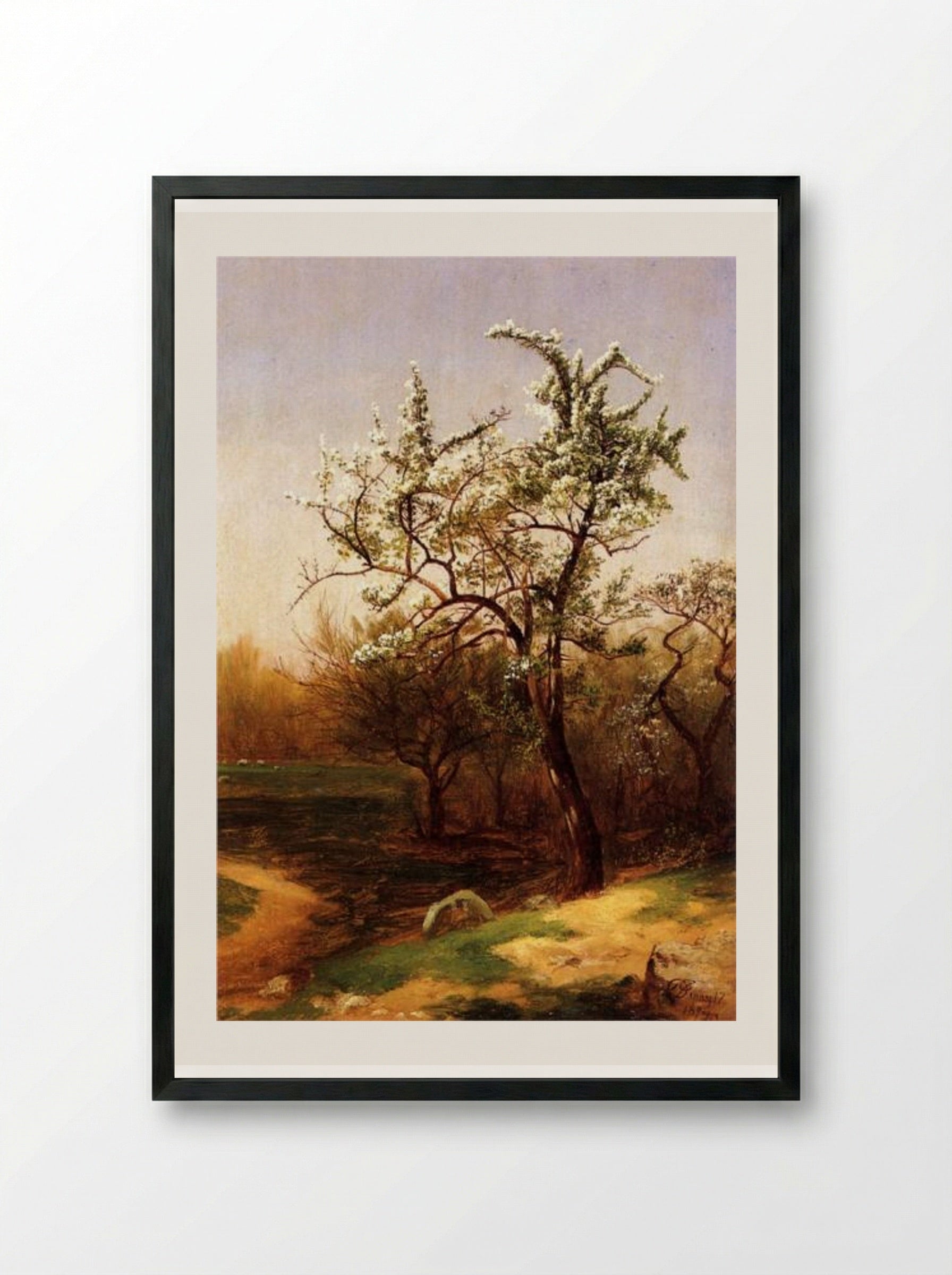 Pear Blossoms - David Johnson - Framed Print Black
