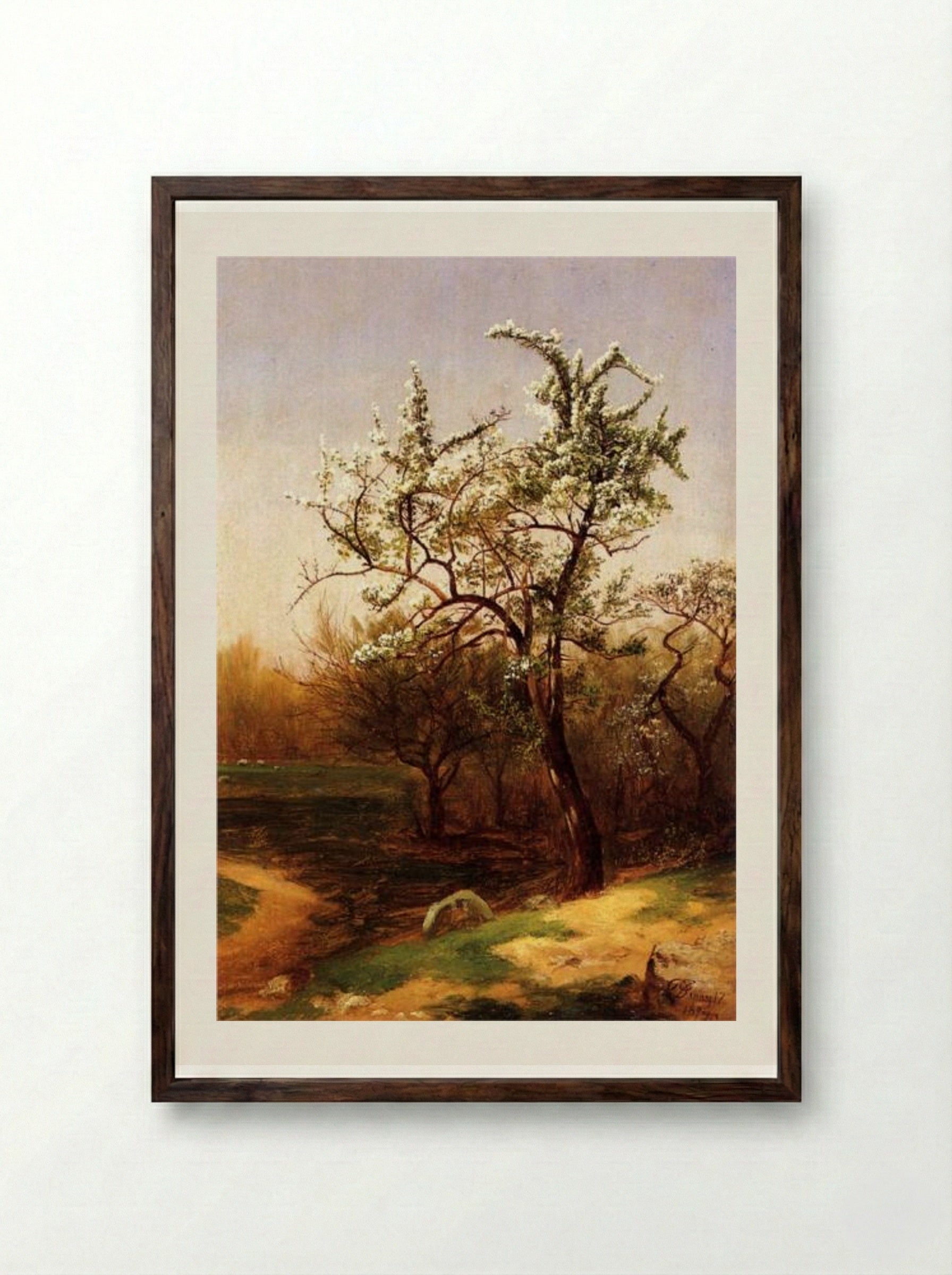 Pear Blossoms - David Johnson - Framed Print Dark Wood