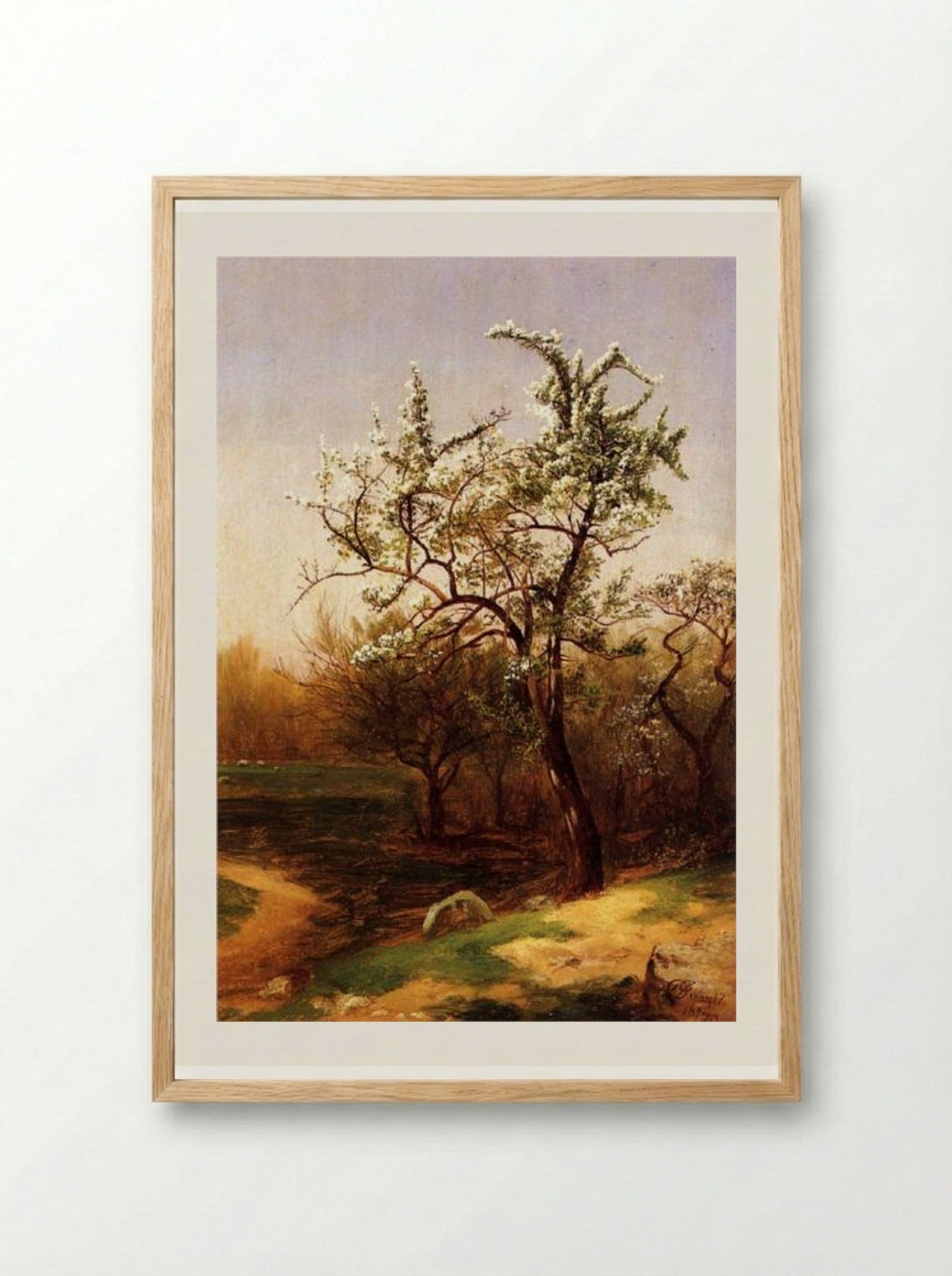 Pear Blossoms - David Johnson - Framed Print Wood