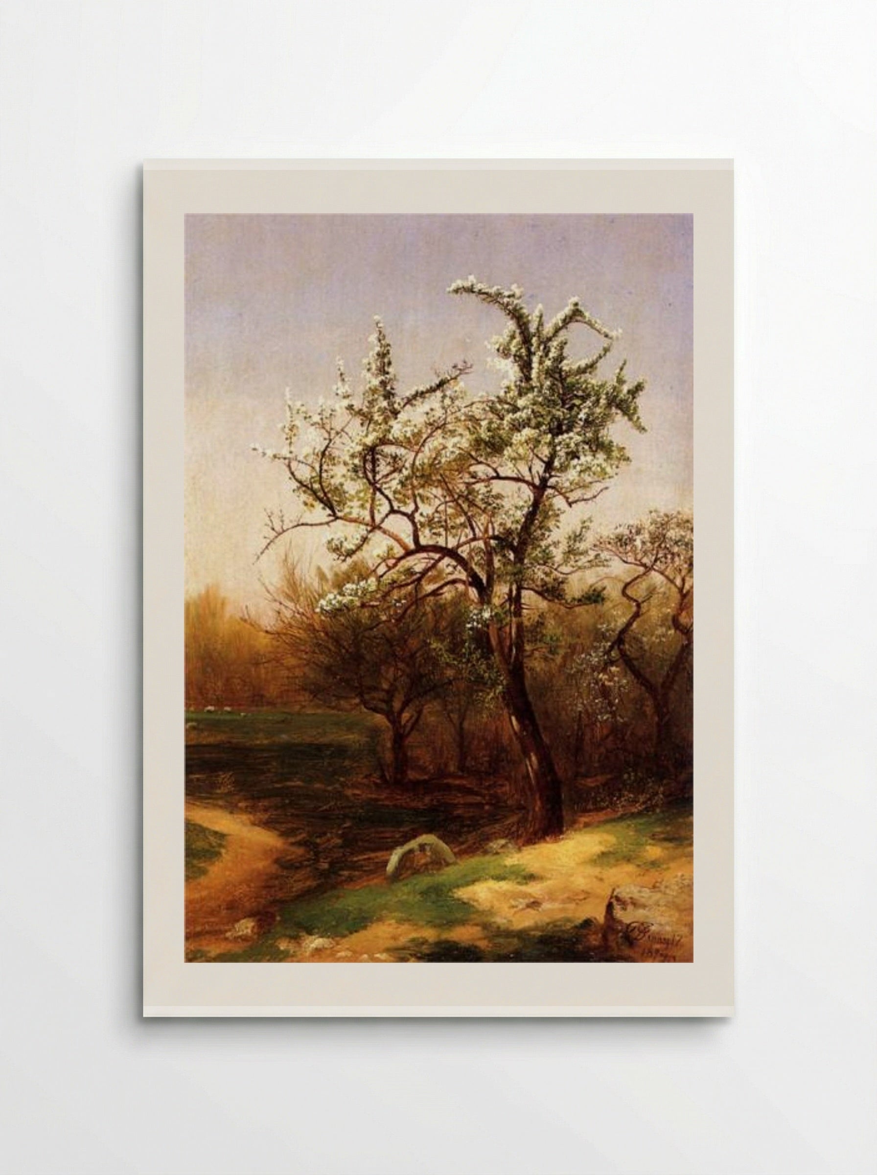 Pear Blossoms - David Johnson - Poster