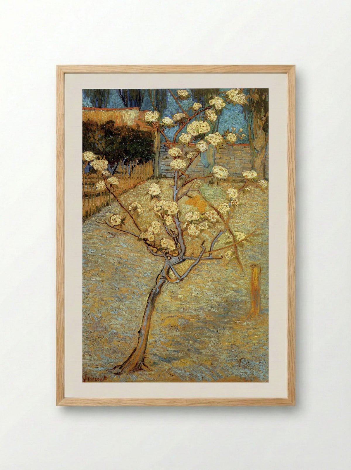Pear Tree in Blossom - Vincent van Gogh - Framed Print Wood