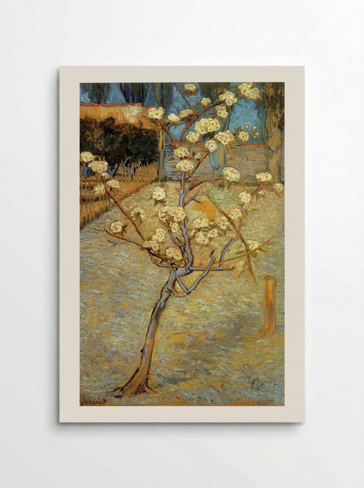 Pear Tree in Blossom - Vincent van Gogh - Poster