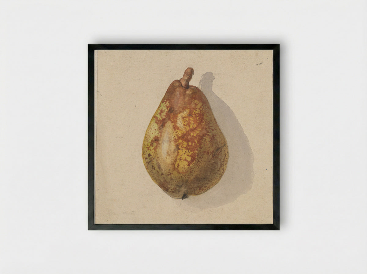 Peer (Pear) - Gerardina Jacoba van de Sande Bakhuyzen - Framed Print Black
