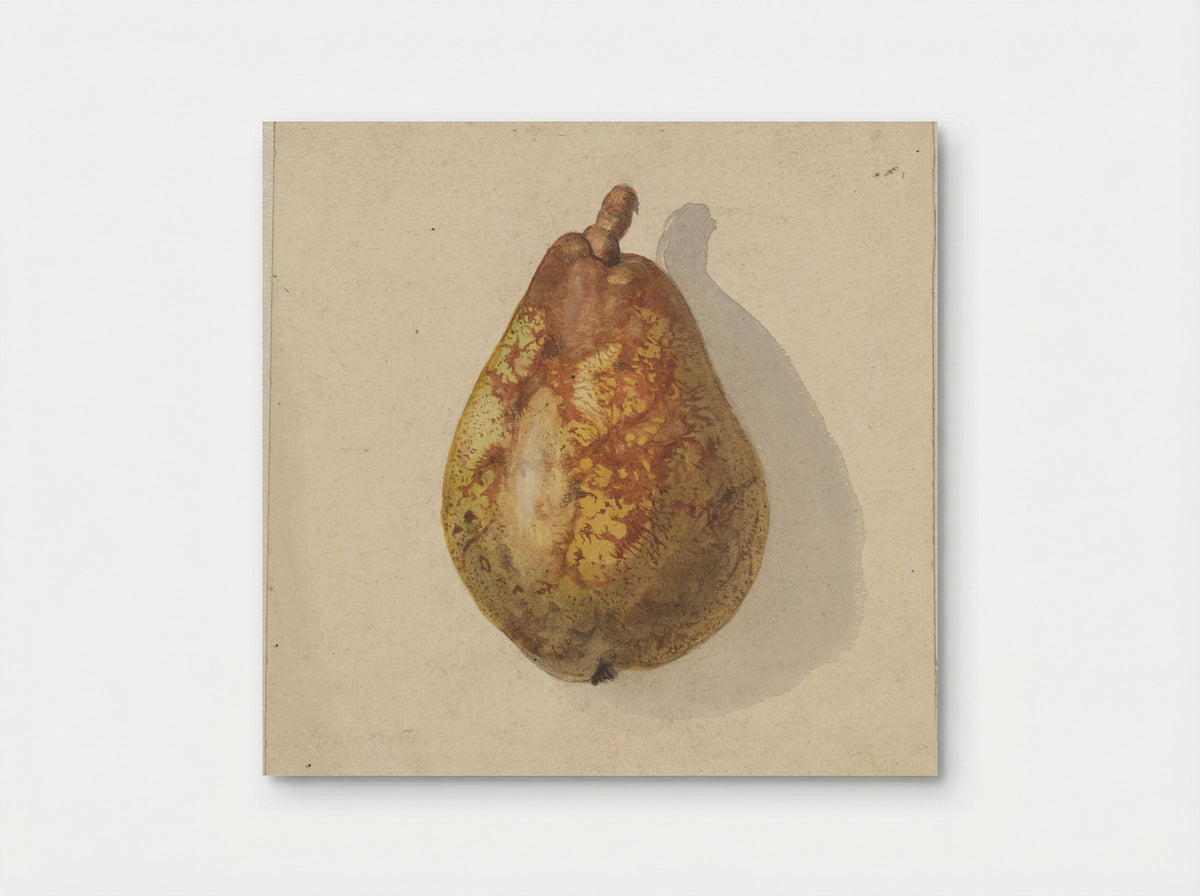 Peer (Pear) - Gerardina Jacoba van de Sande Bakhuyzen - Poster