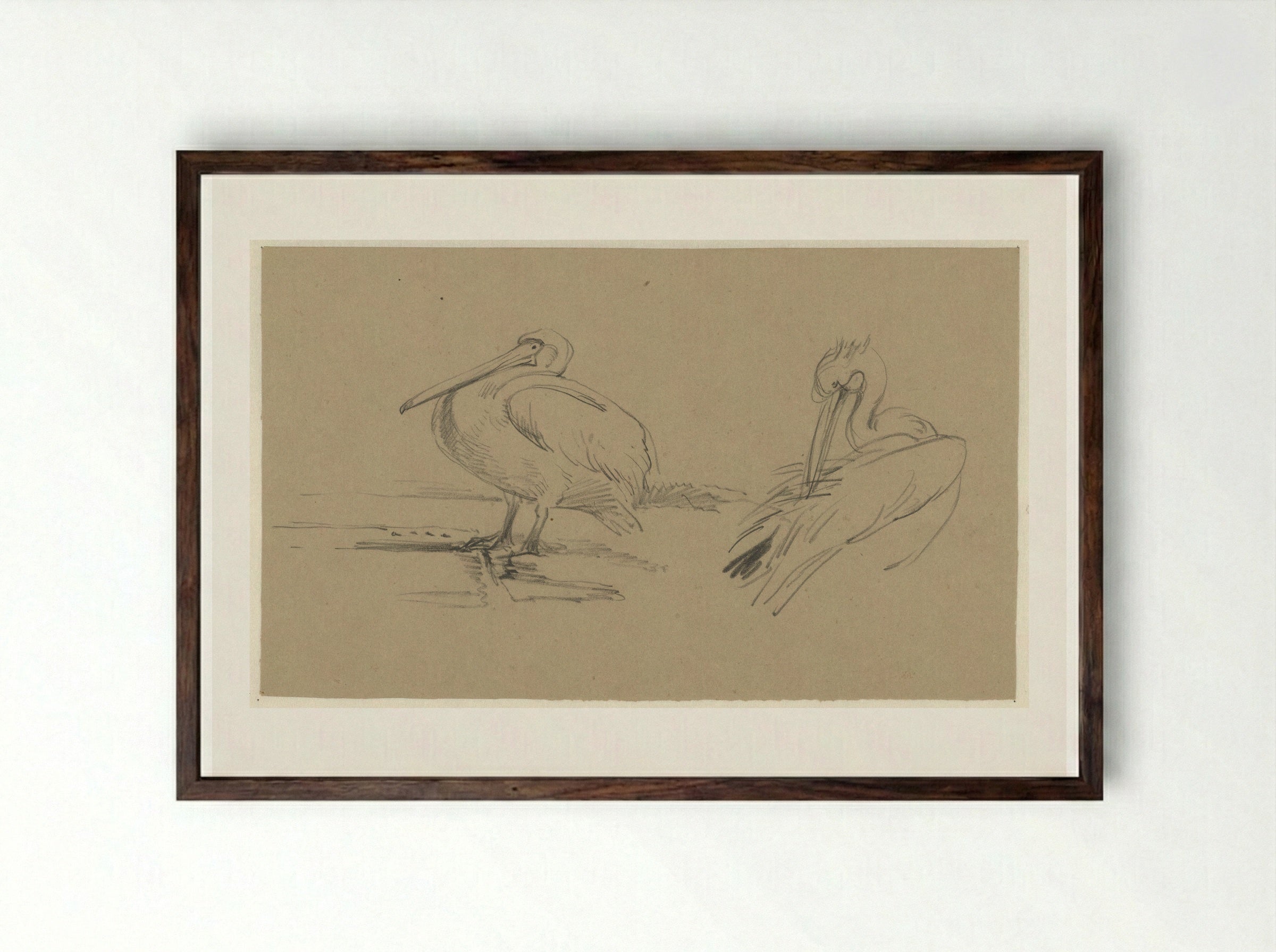 Pelikanen - Guillaume Anne van der Brugghen - Framed Print Dark Wood
