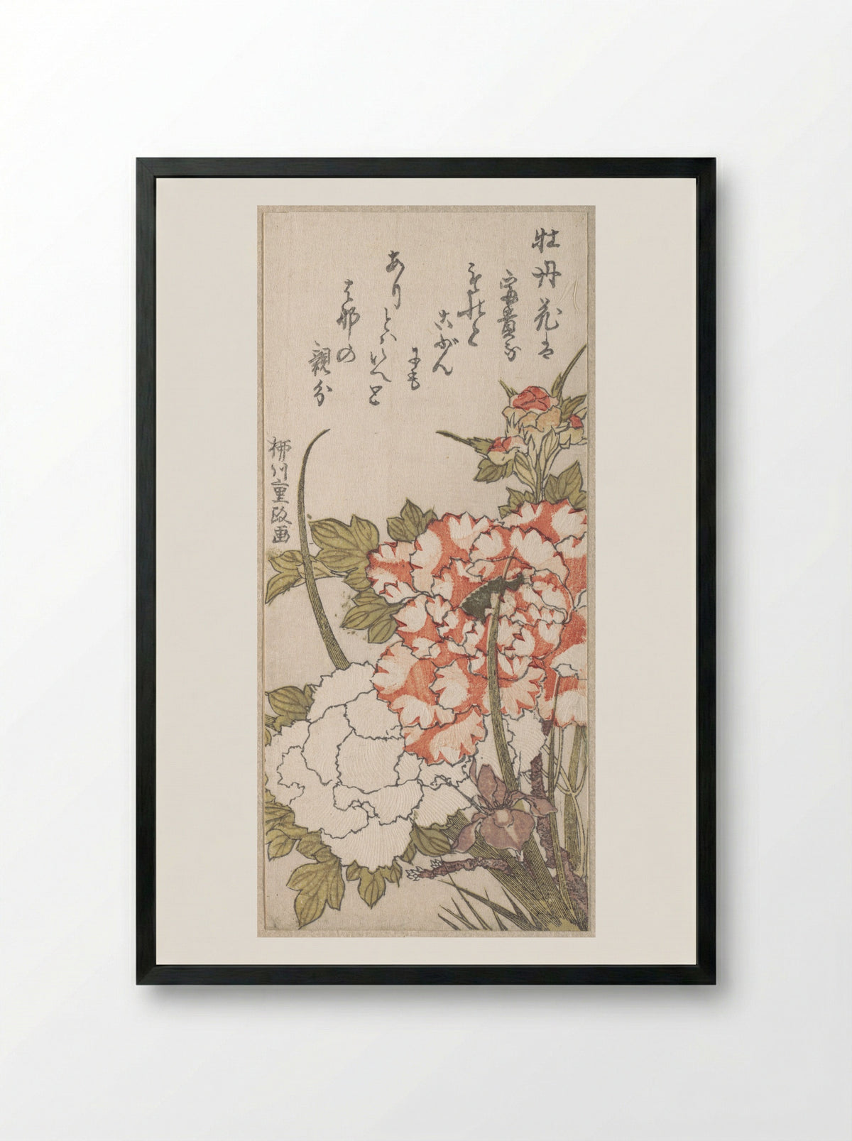 Peonies and Iris - Yanagawa Shigemasa - Framed Print Black