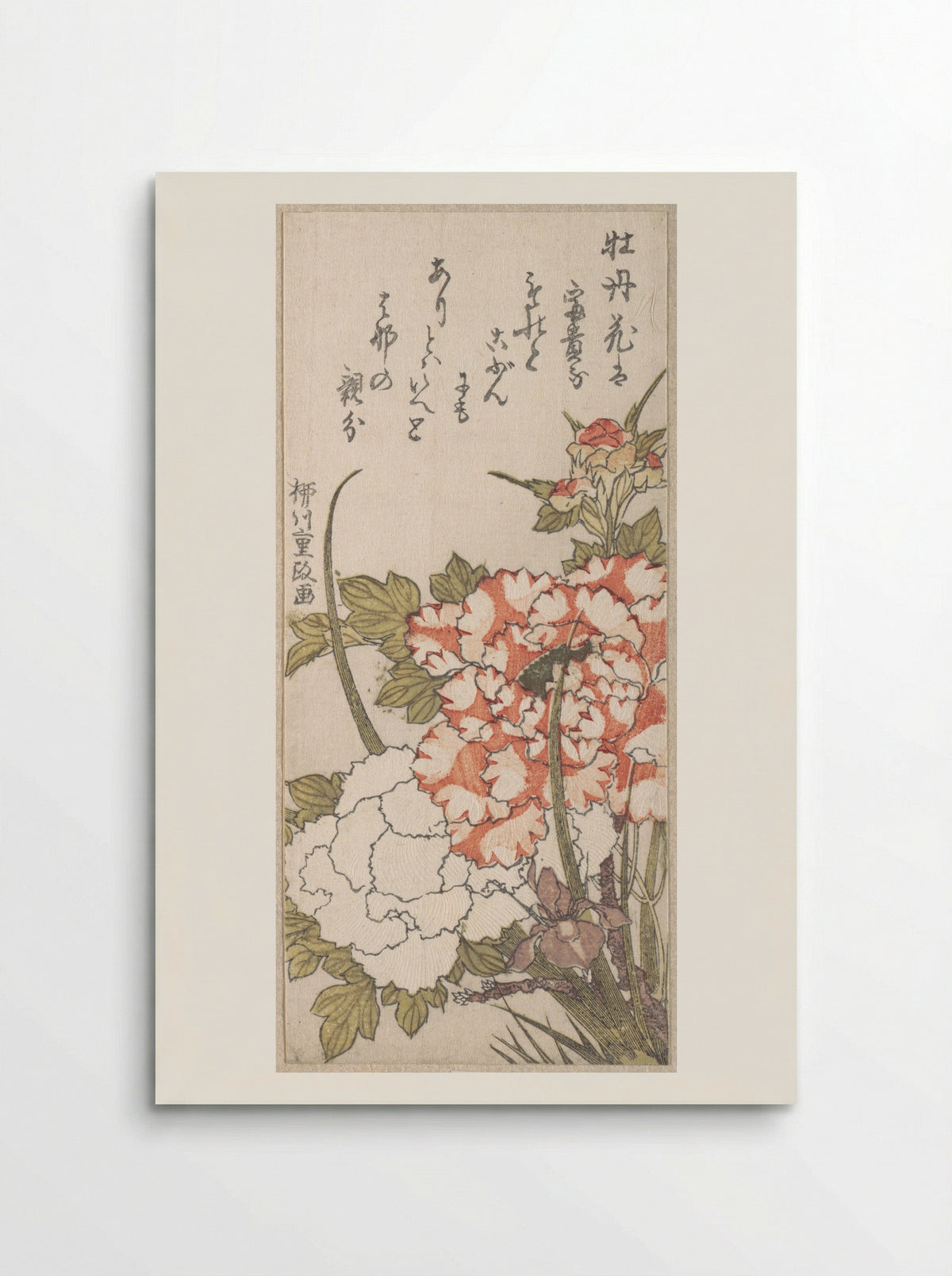 Peonies and Iris - Yanagawa Shigemasa - Poster