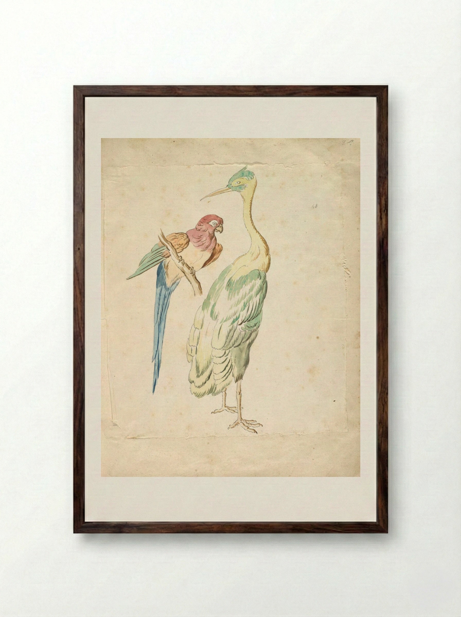 Perched Parrot and Standing Heron - Jean-Baptiste Oudry - Framed Print Dark Wood