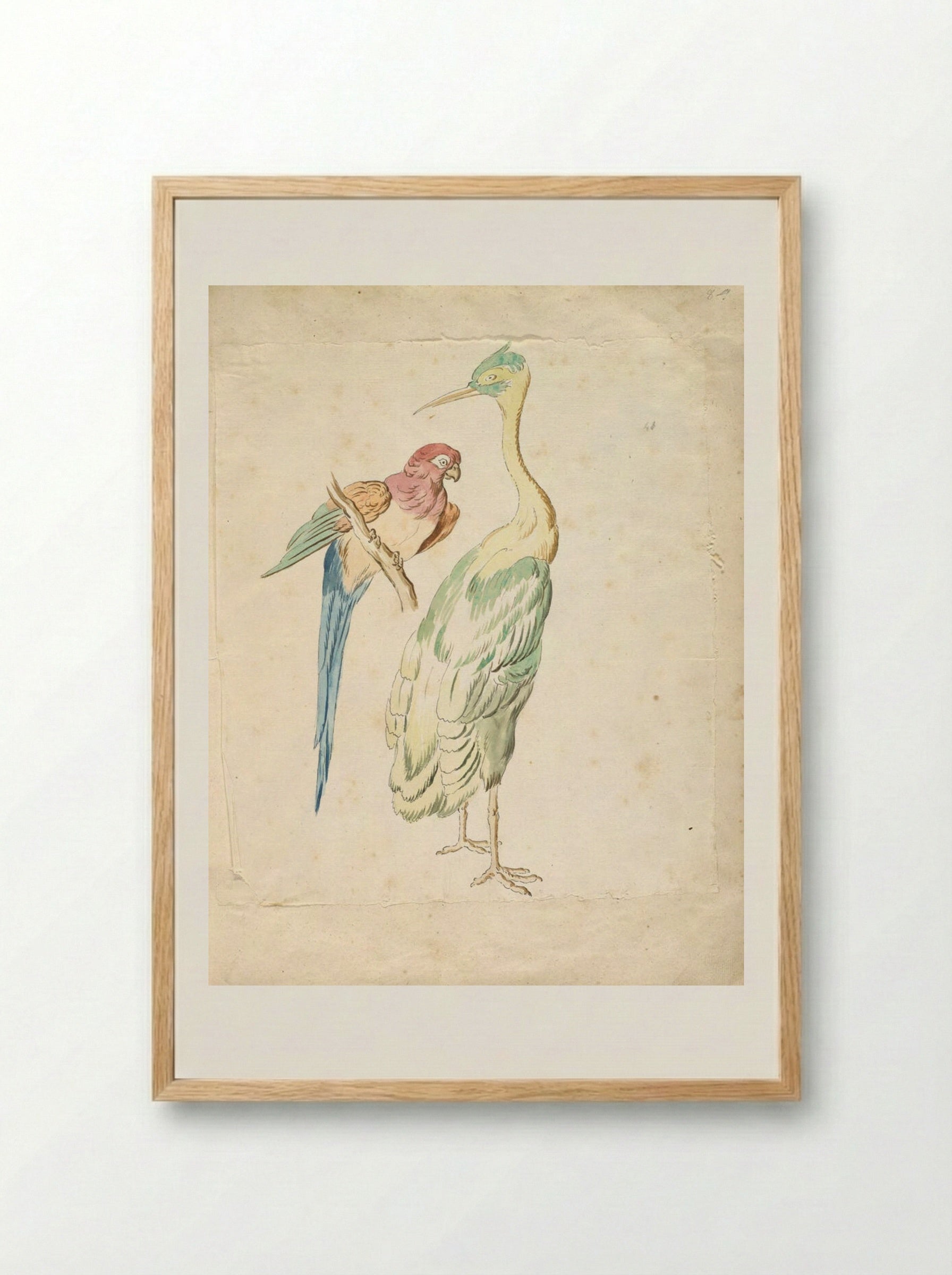 Perched Parrot and Standing Heron - Jean-Baptiste Oudry - Framed Print Wood