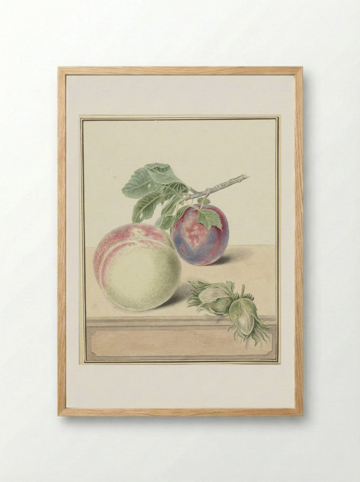 Perzik, een pruim met blad en een paar noten - Elisabeth Geertruida van de Kasteele - Framed Print Wood
