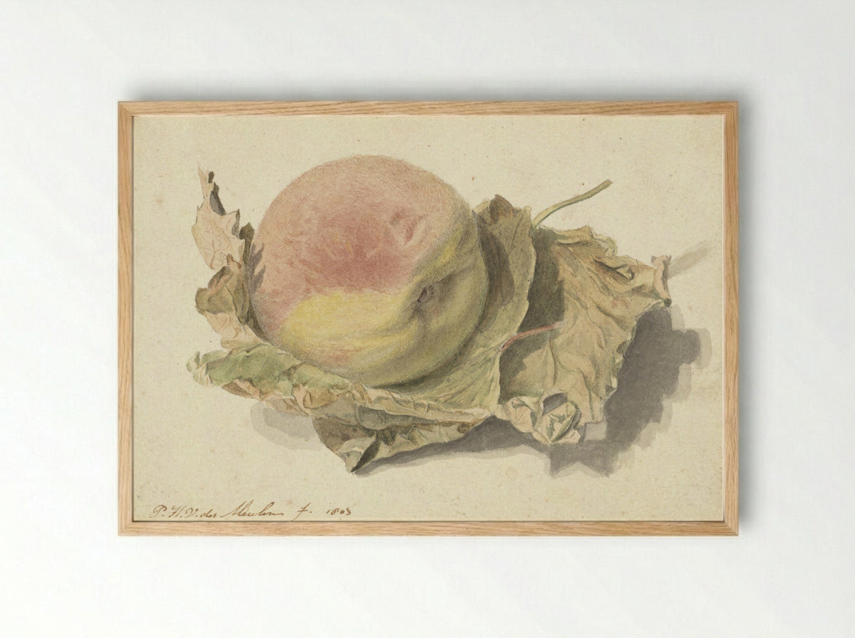 Perzik op twee bladeren - Pieter van der Meulen - Framed Print Wood