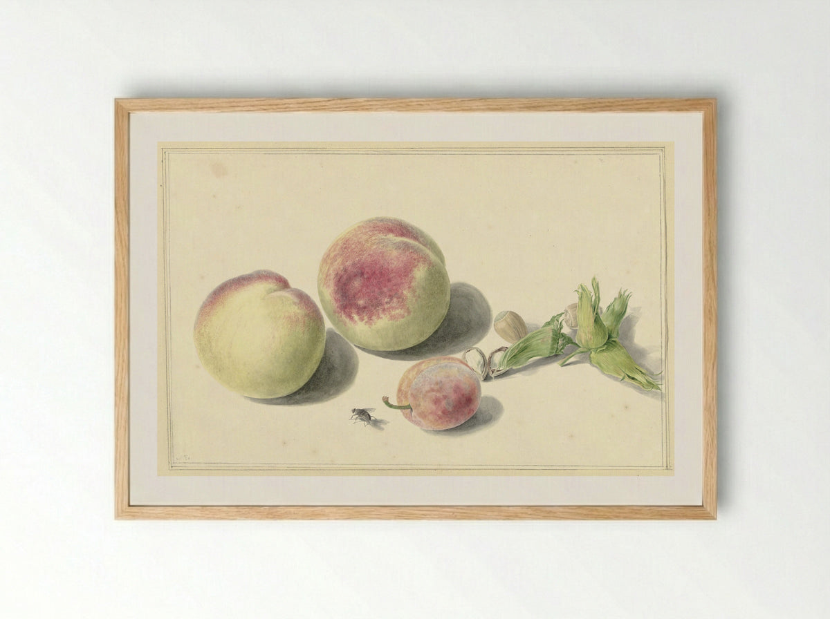Perziken, noten, een pruim en een vlieg - Elisabeth Geertruida van de Kasteele - Framed Print Wood