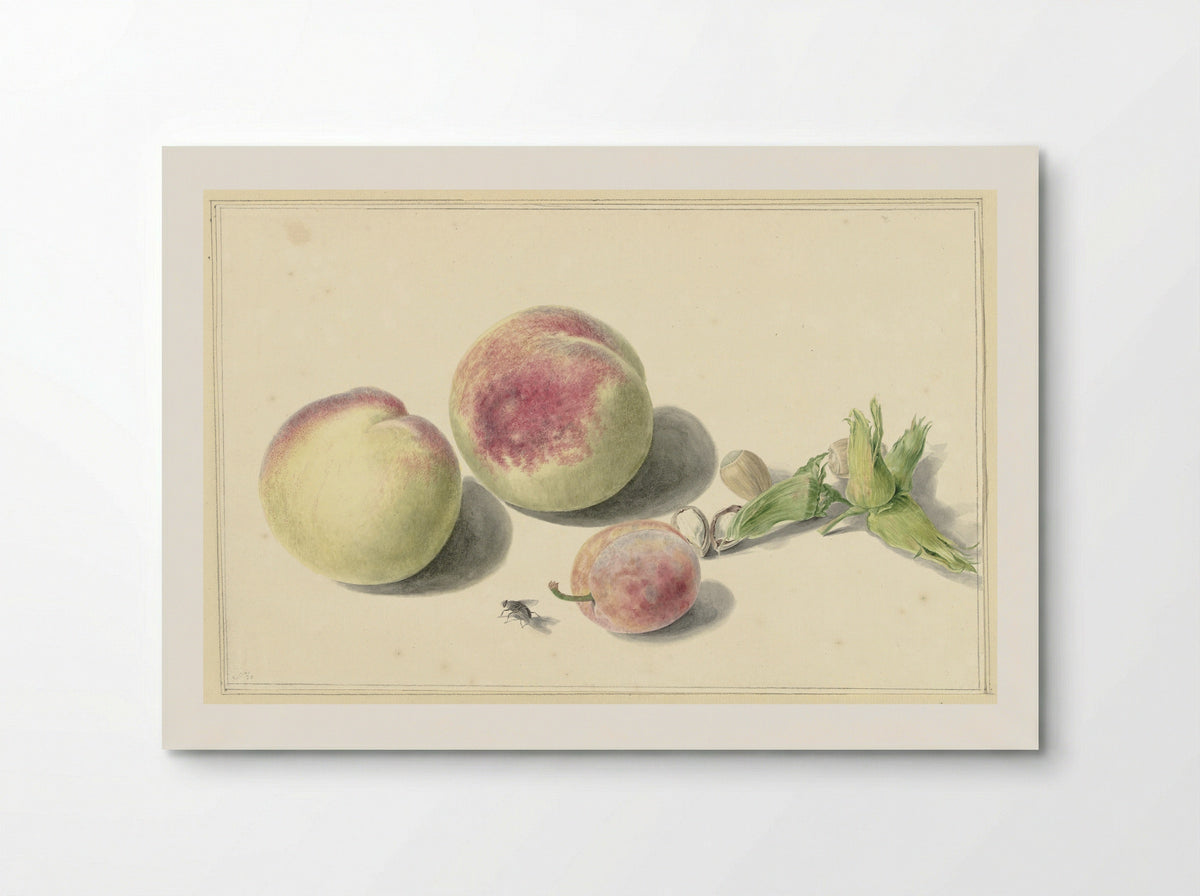 Perziken, noten, een pruim en een vlieg - Elisabeth Geertruida van de Kasteele - Poster