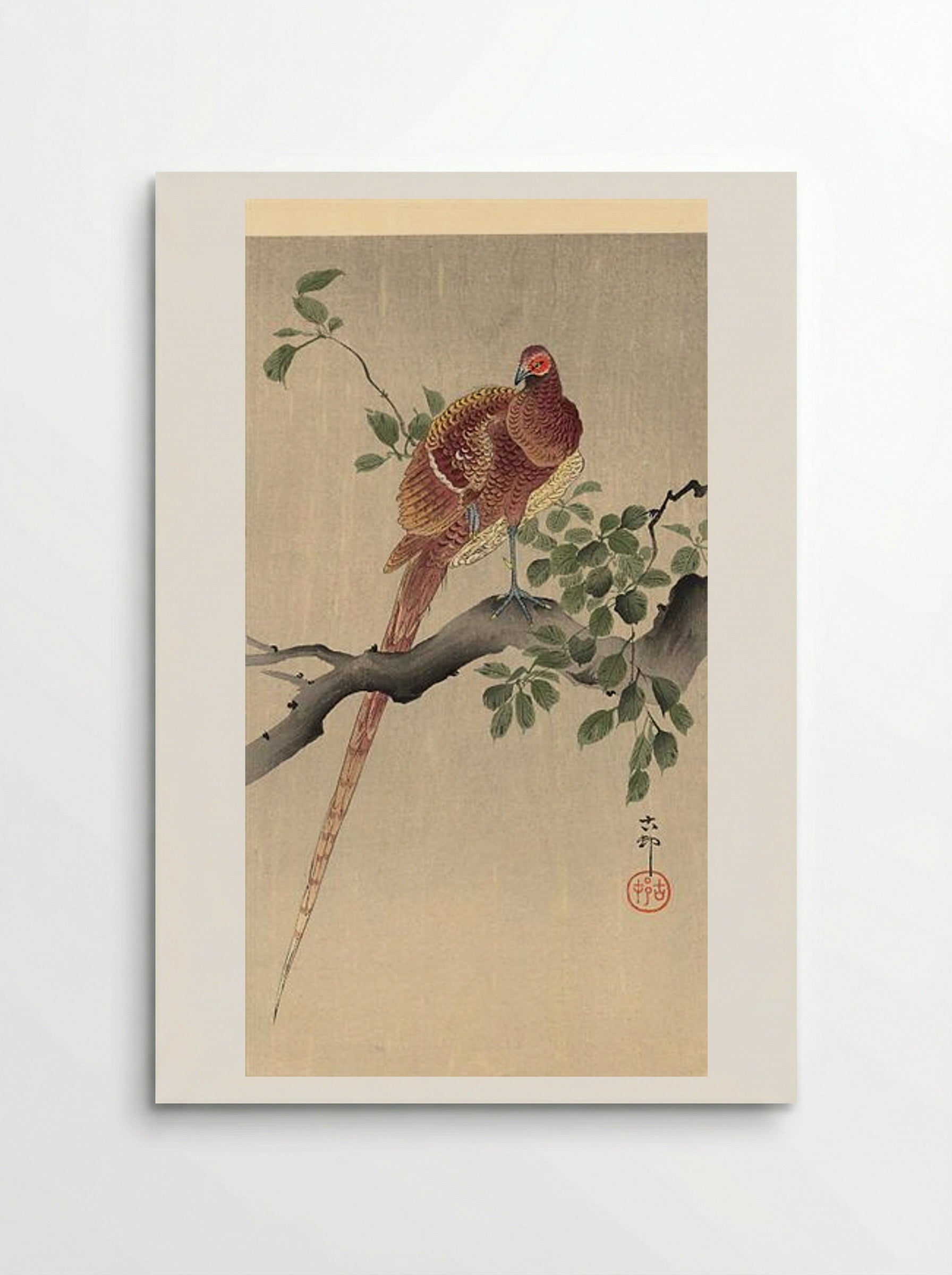 Pheasant on Branch - Ohara Koson - Poster