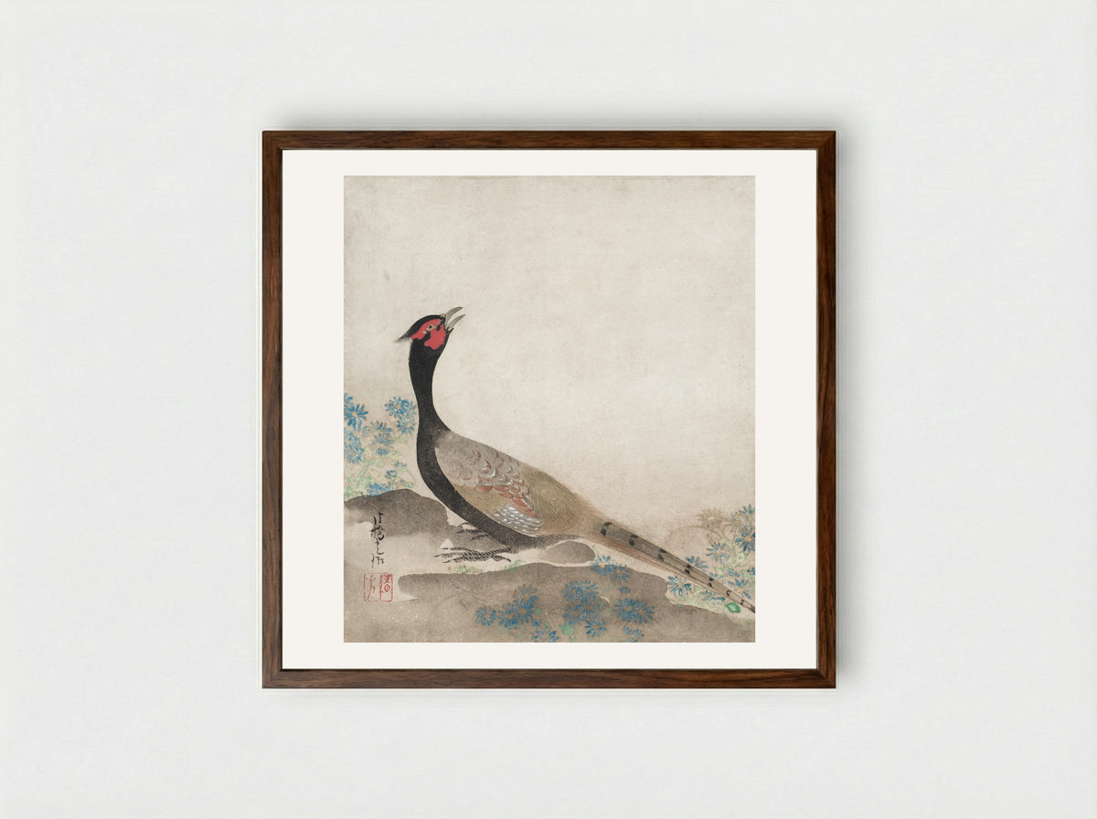 Pheasant - Ogata Kōrin - Framed Print Dark Wood