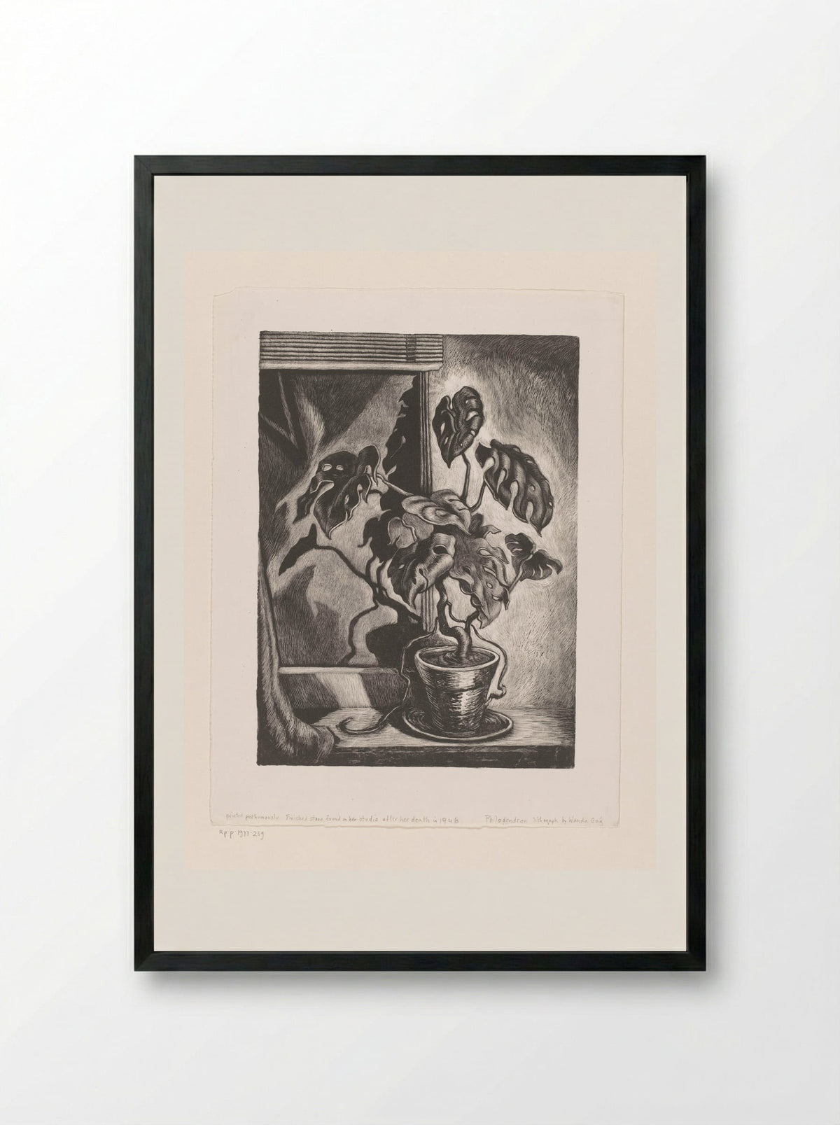Philodendron - Wanda Gág - Framed Print Black