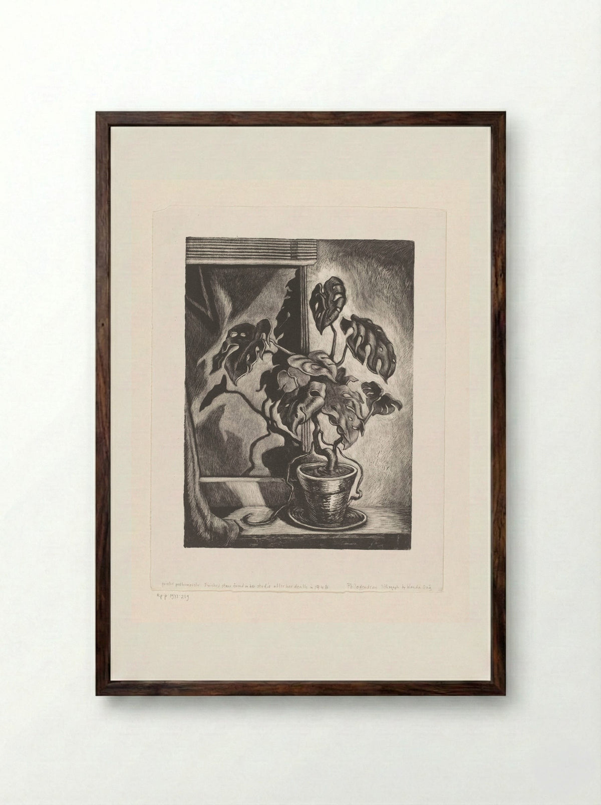 Philodendron - Wanda Gág - Framed Print Dark Wood