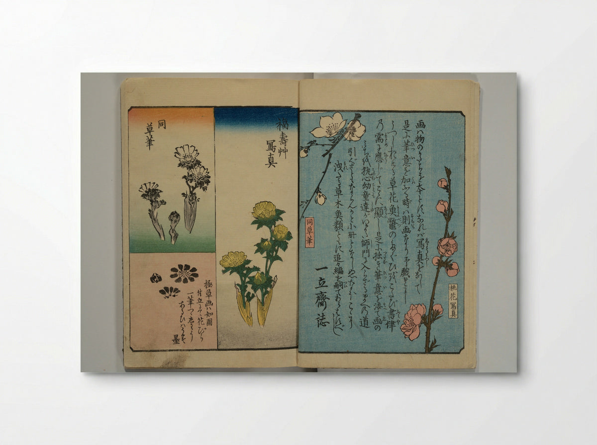 Picture Book for the Practice of Drawing (Ehon tebikigusa) - Utagawa Hiroshige - Poster