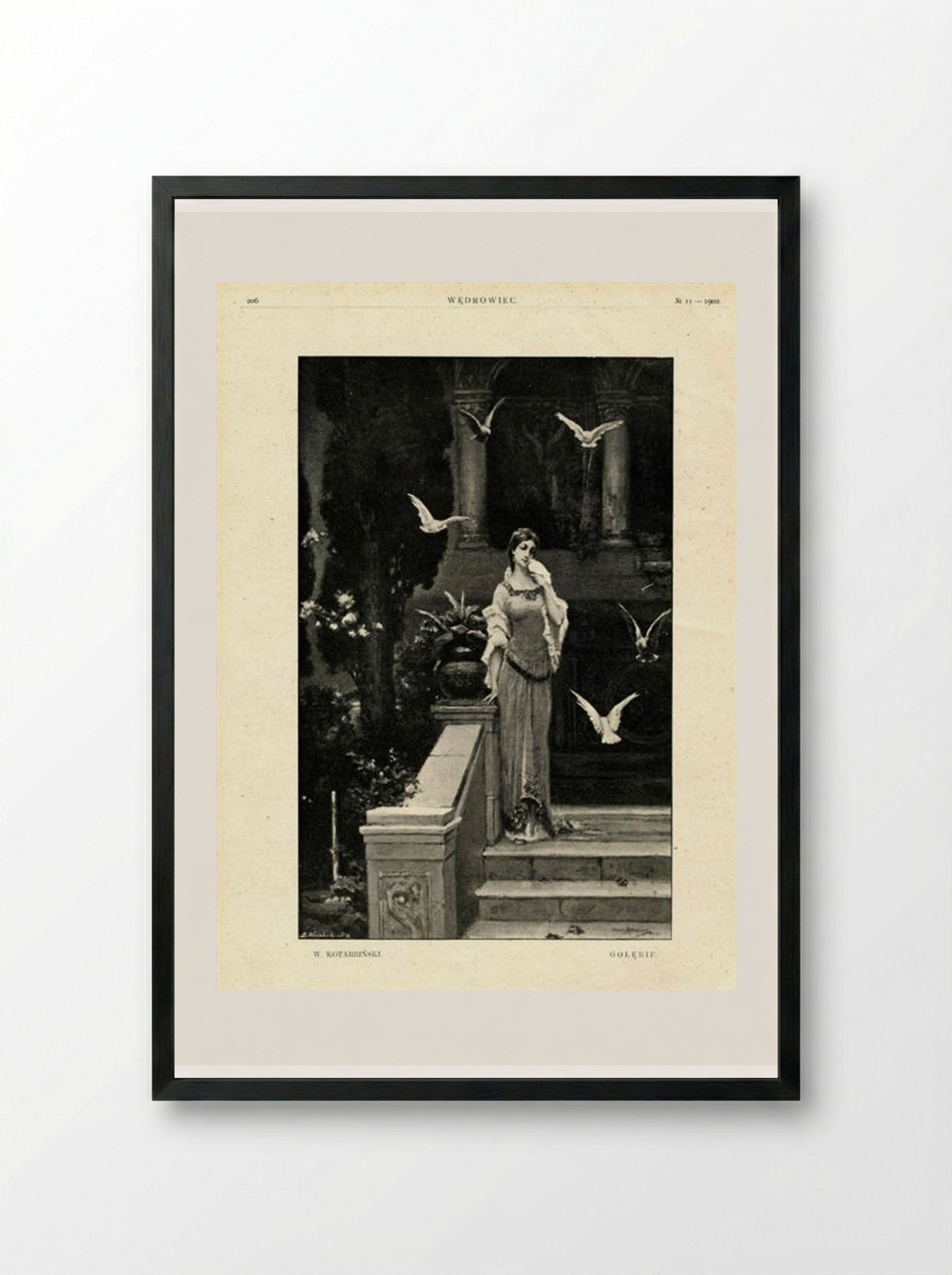 Pigeons - Wilhelm Kotarbiński - Framed Print Black