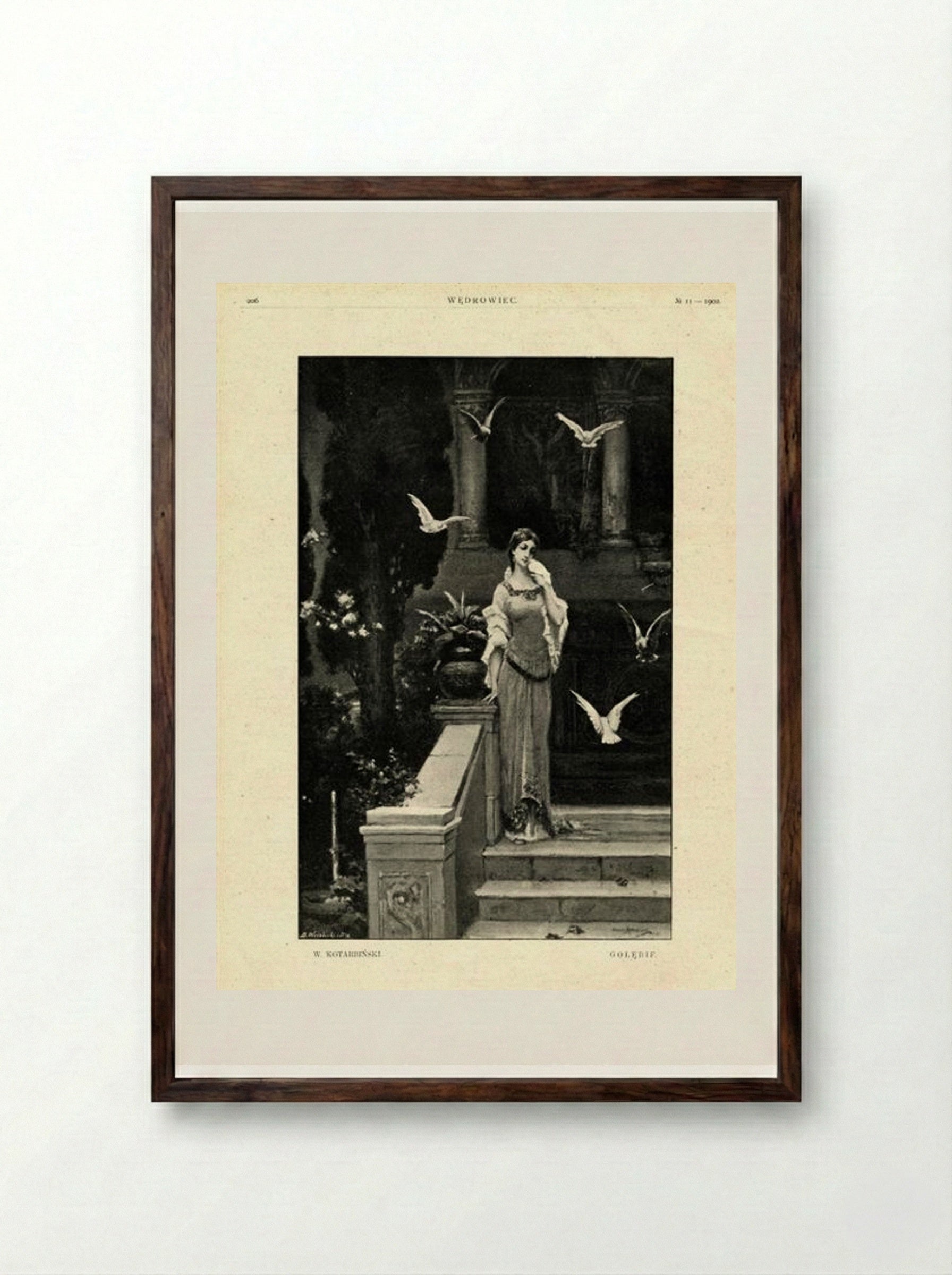 Pigeons - Wilhelm Kotarbiński - Framed Print Dark Wood