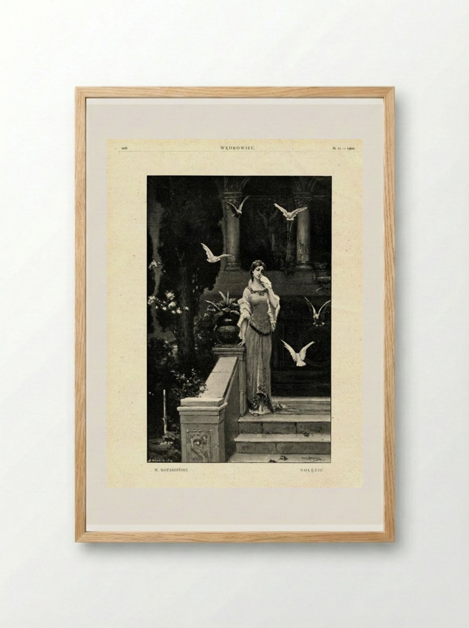 Pigeons - Wilhelm Kotarbiński - Framed Print Wood