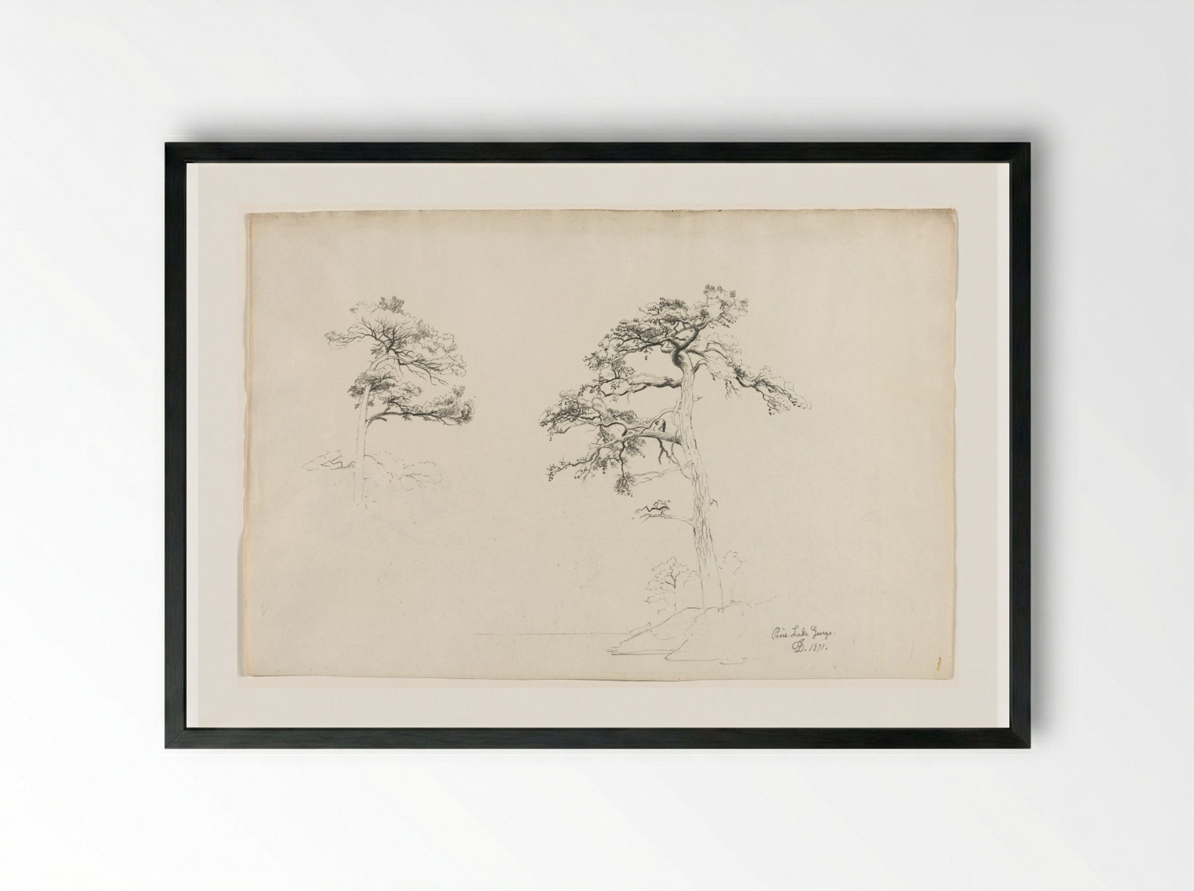 Pine, Lake George - David Johnson - Framed Print Black