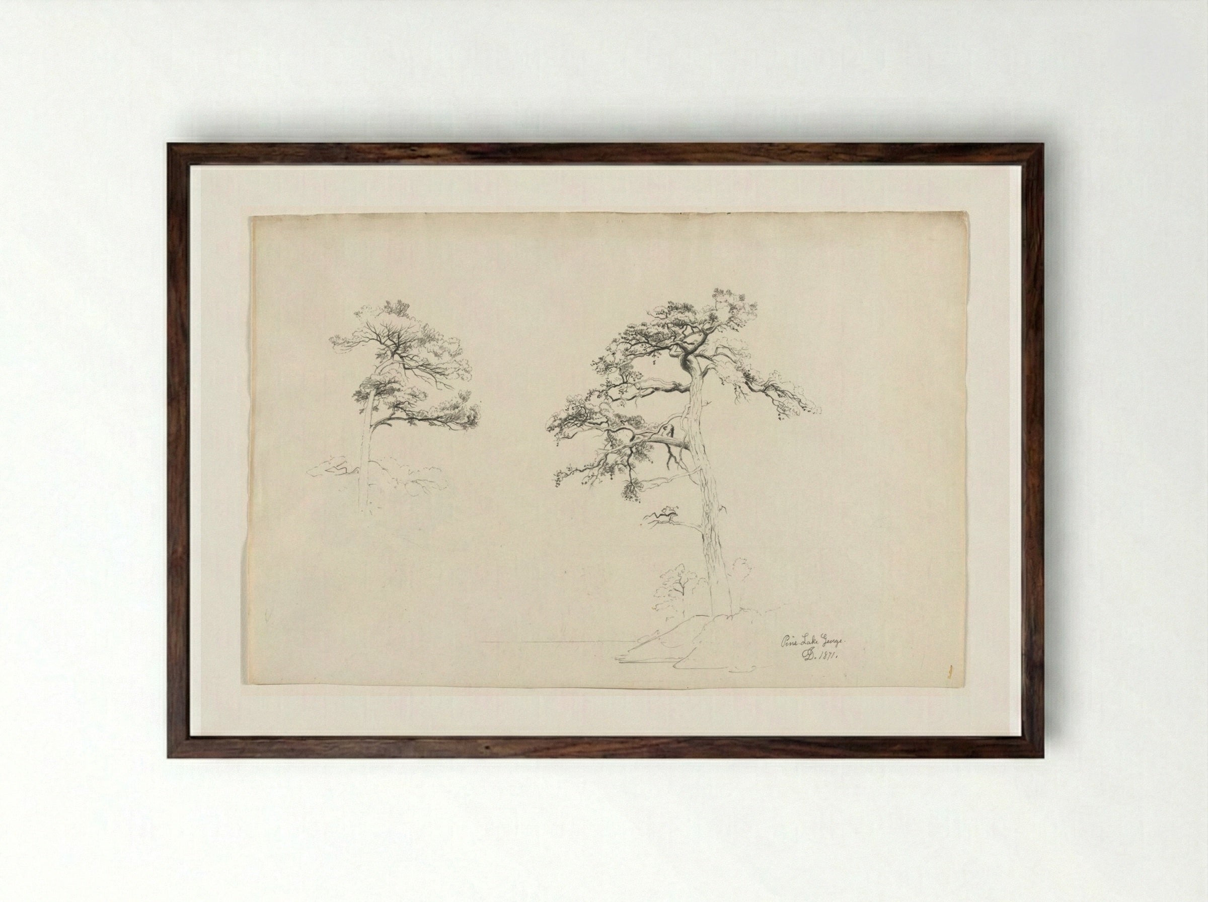 Pine, Lake George - David Johnson - Framed Print Dark Wood