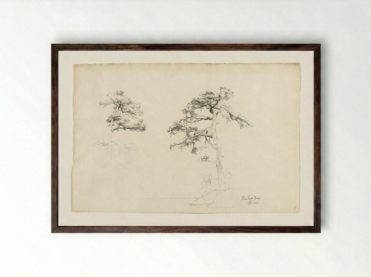 Pine, Lake George - David Johnson - Framed Print Dark Wood