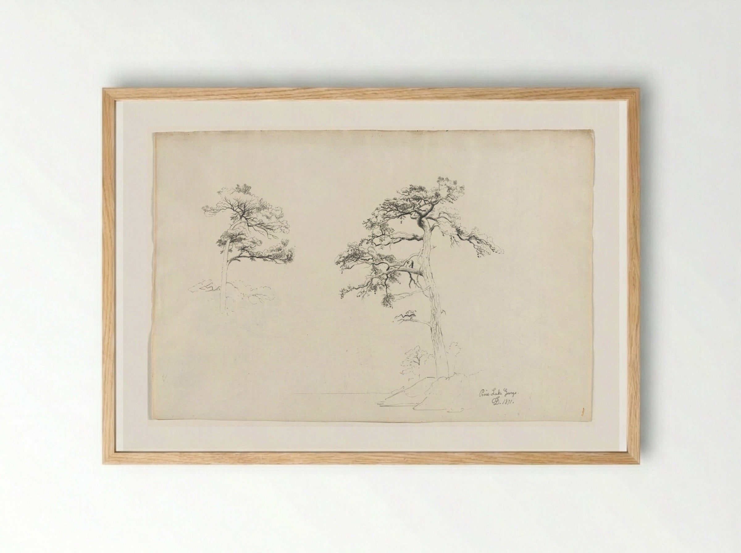 Pine, Lake George - David Johnson - Framed Print Wood