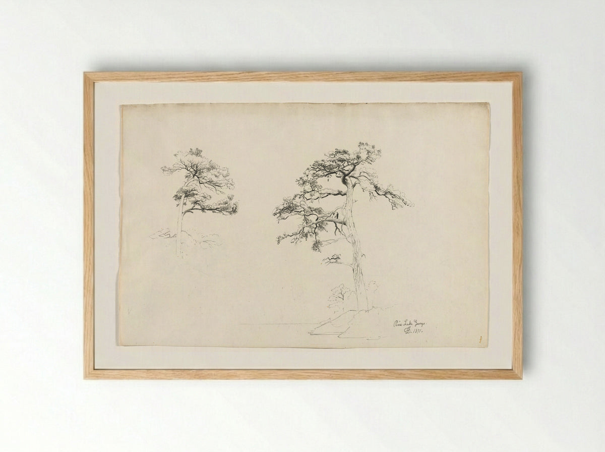 Pine, Lake George - David Johnson - Framed Print Wood