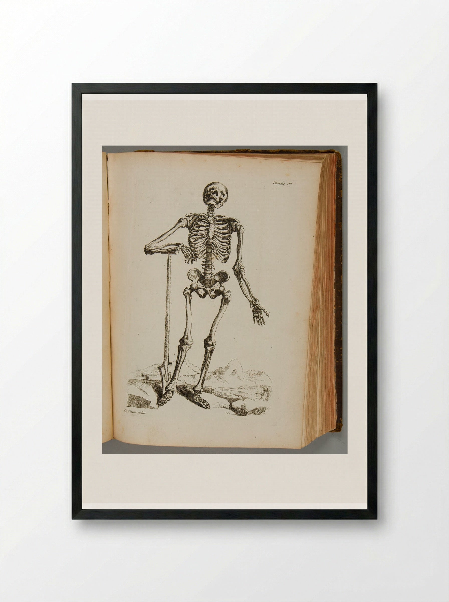 Planche 1re (Skeleton with Spade) - Various Artists - Framed Print Black
