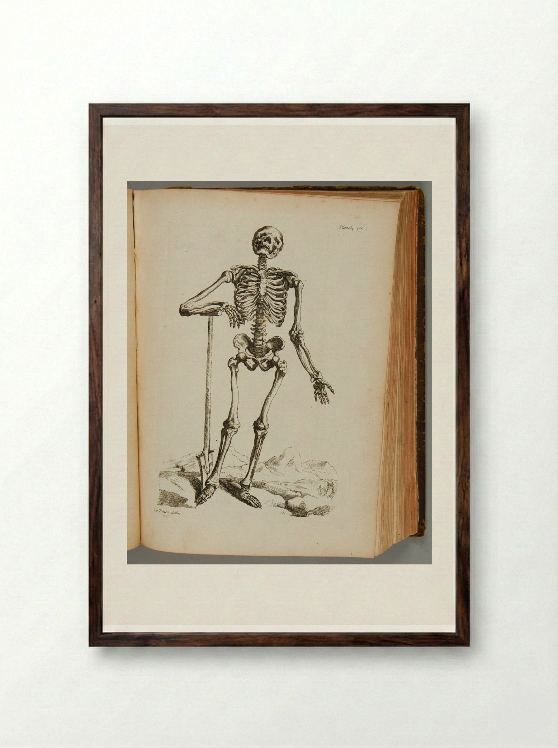 Planche 1re (Skeleton with Spade) - Various Artists - Framed Print Dark Wood