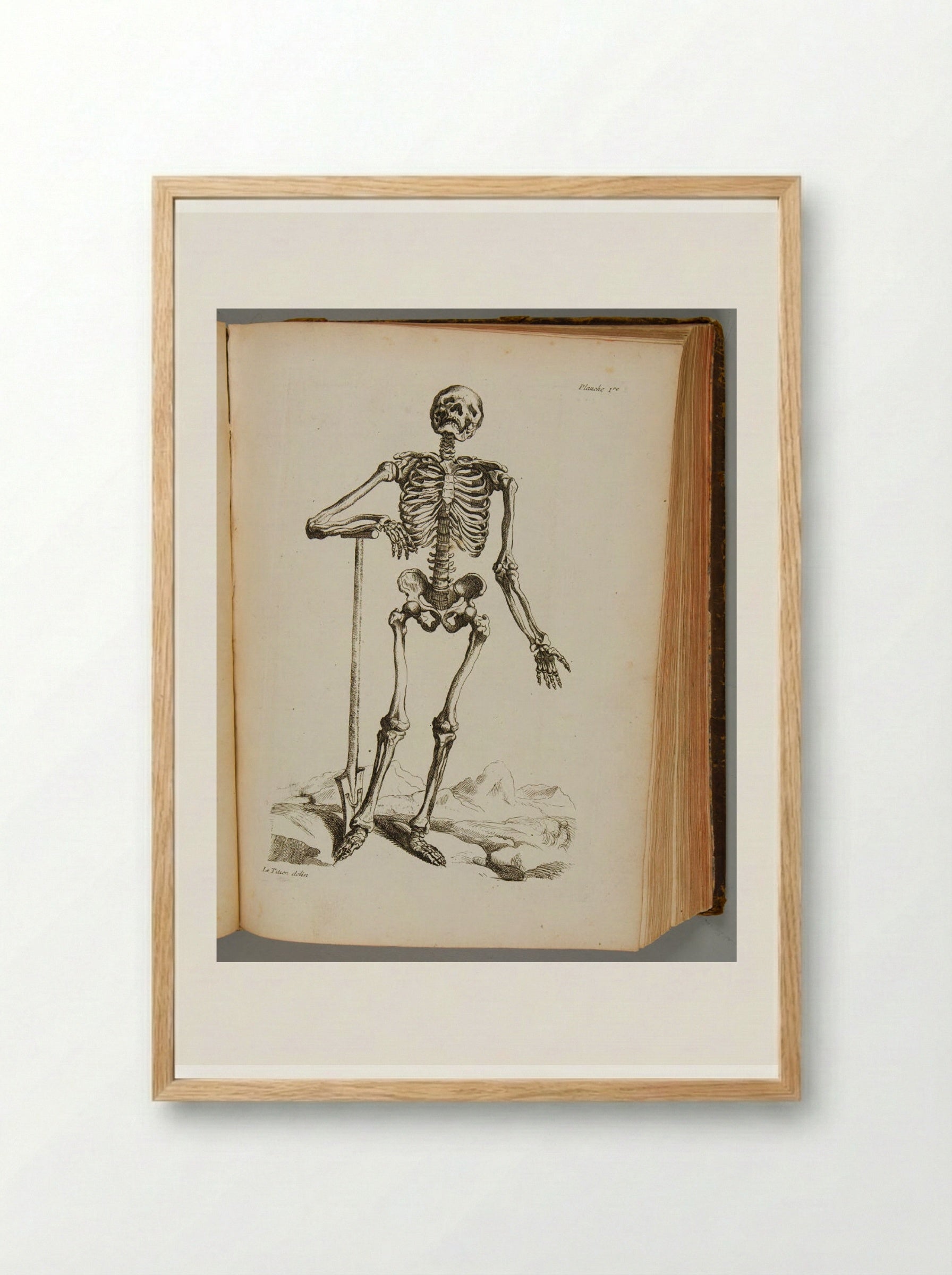 Planche 1re (Skeleton with Spade) - Various Artists - Framed Print Wood
